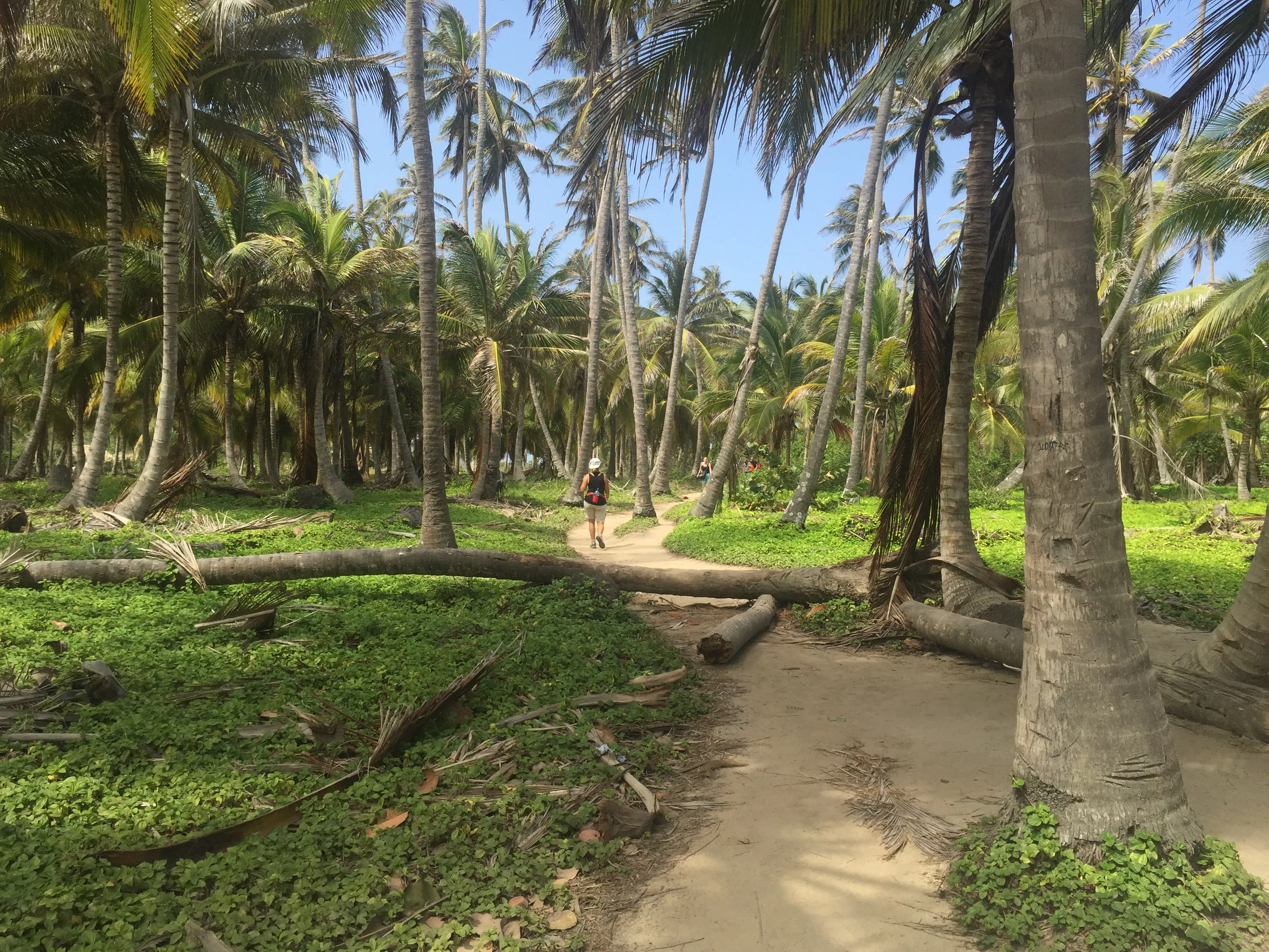 Camp at the Beach in Parque Nacional Natural Tayrona