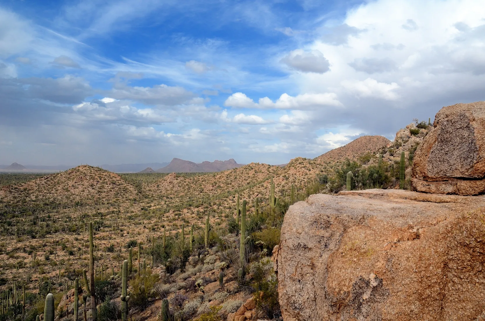 Valley View Overlook Trail in Saguaro National Park
