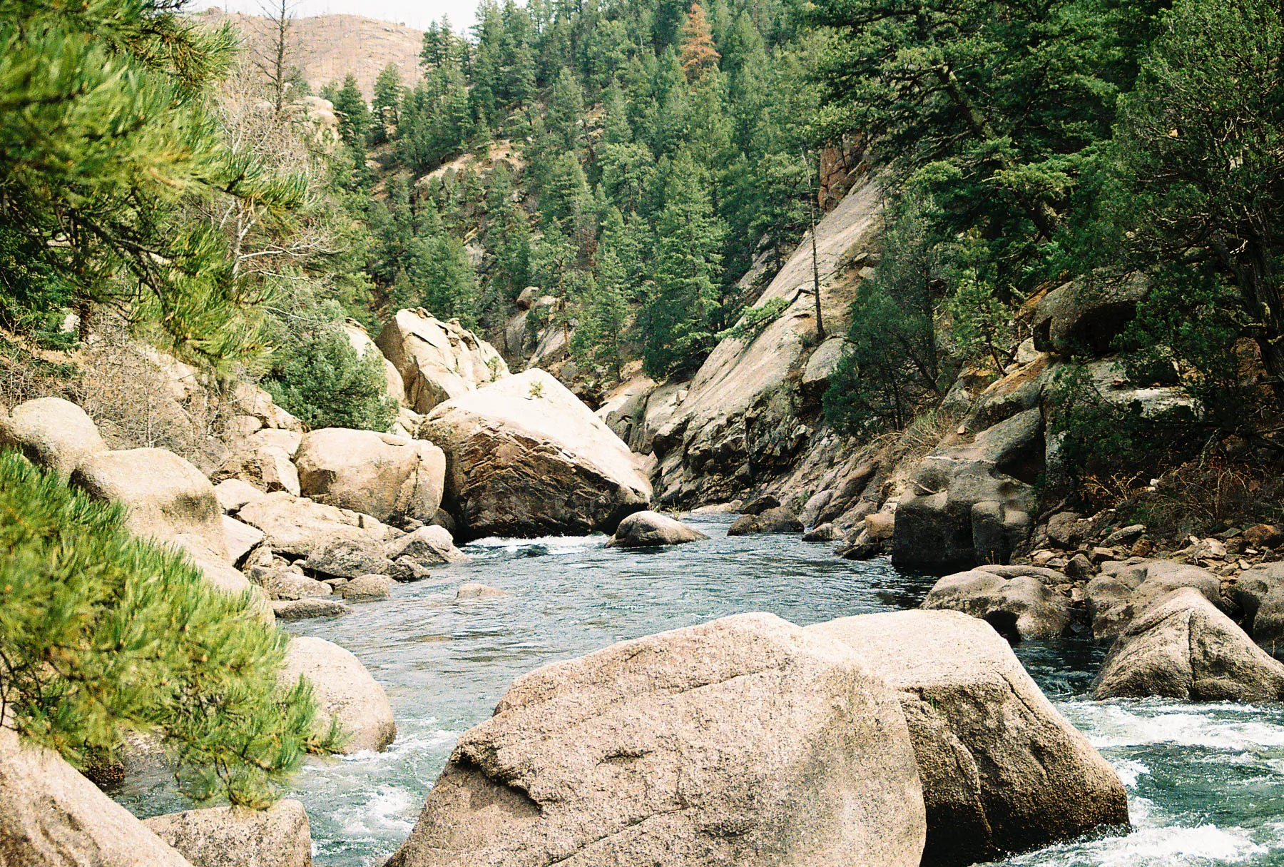 Fish Cheeseman Canyon