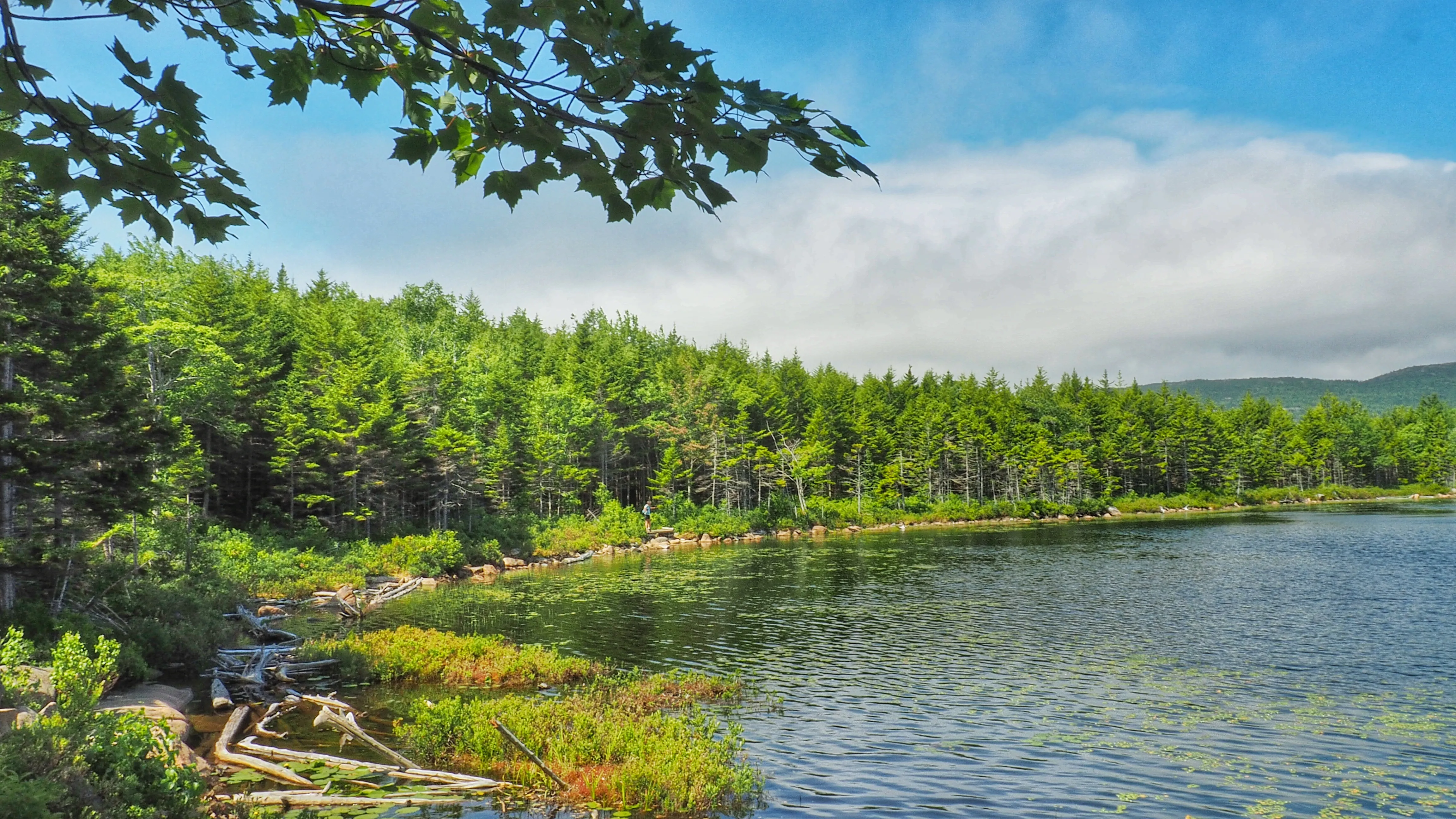 Hike to The Bowl in Acadia NP