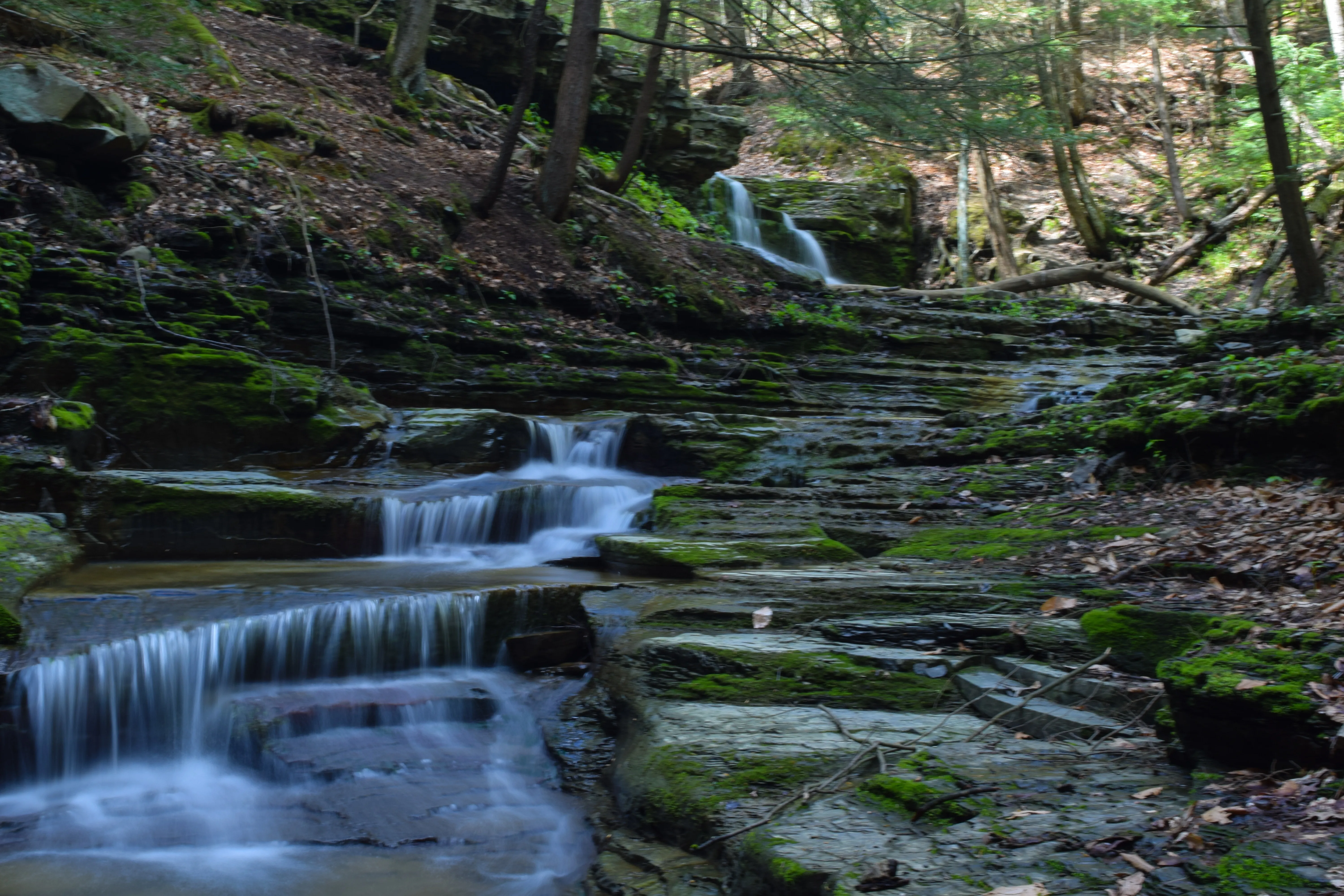 Hike the IBM Glen Preserve