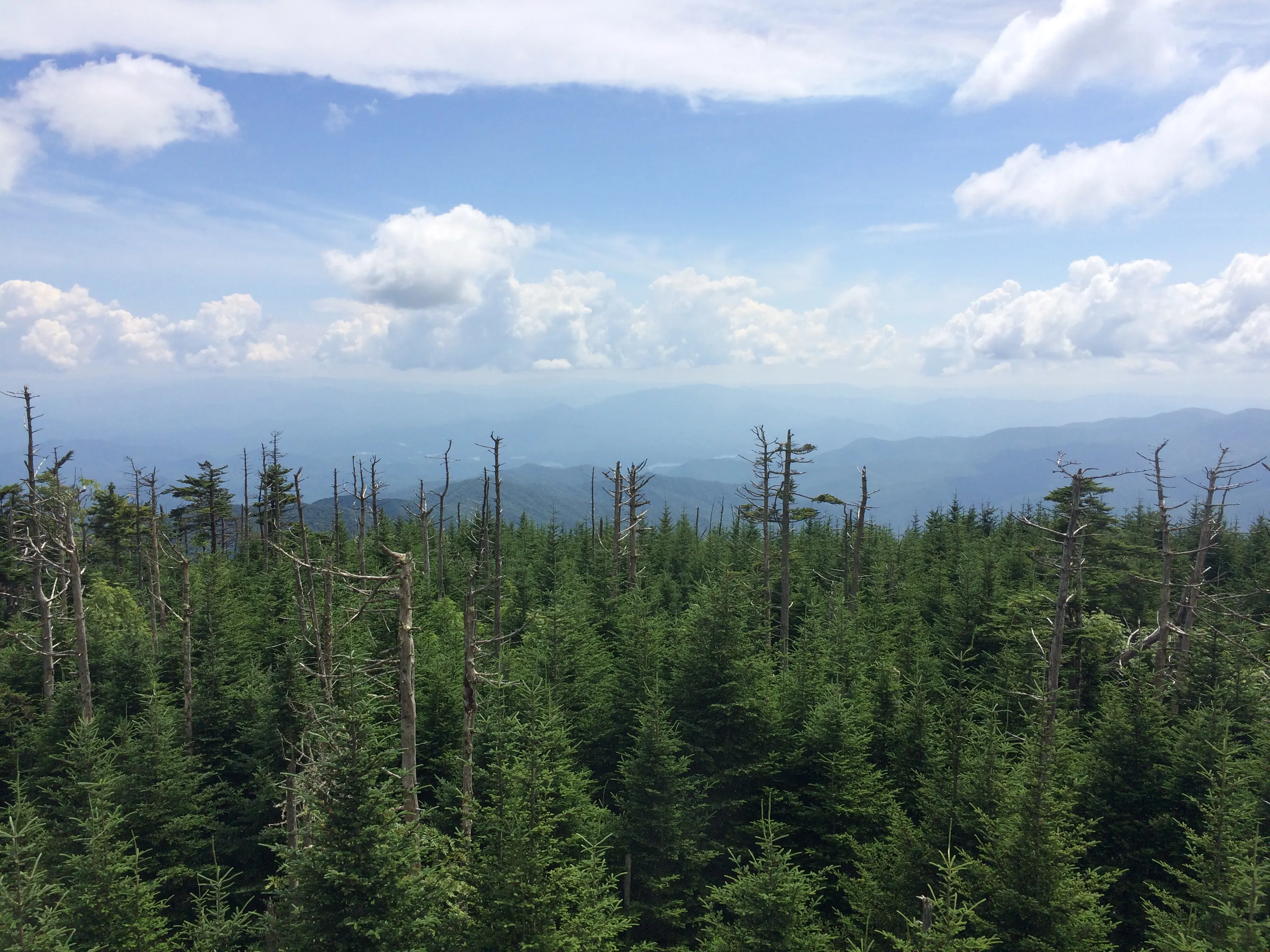 Clingmans Dome Loop