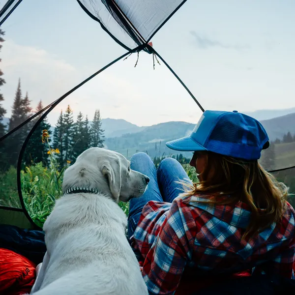17 Tips for Bringing Your Dog into the Wilderness