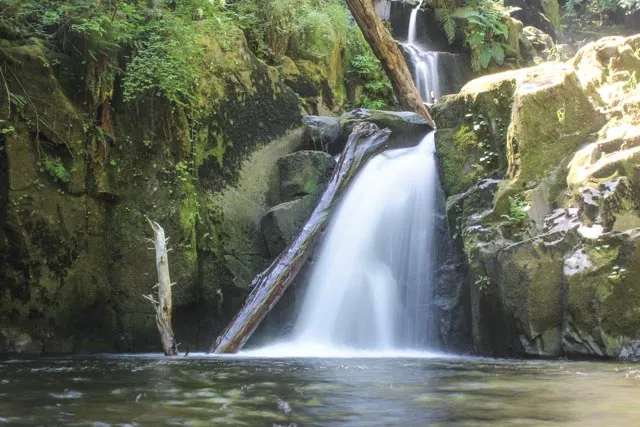 Sweet Creek Waterfall