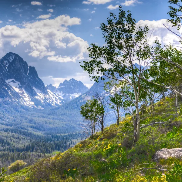 10 Must-Do Hikes in Idaho 
