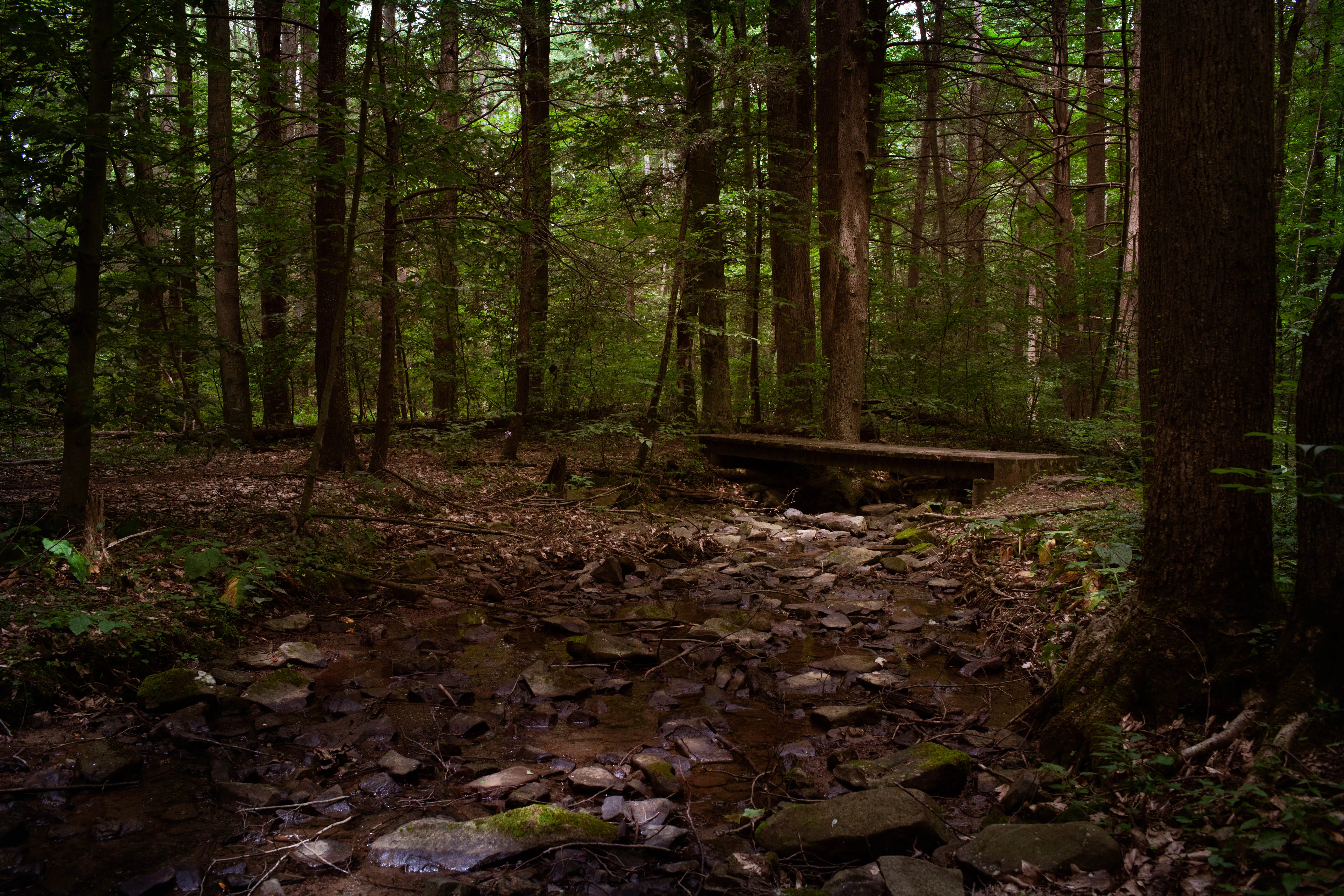 Hike the Buffalo Ridge Trail