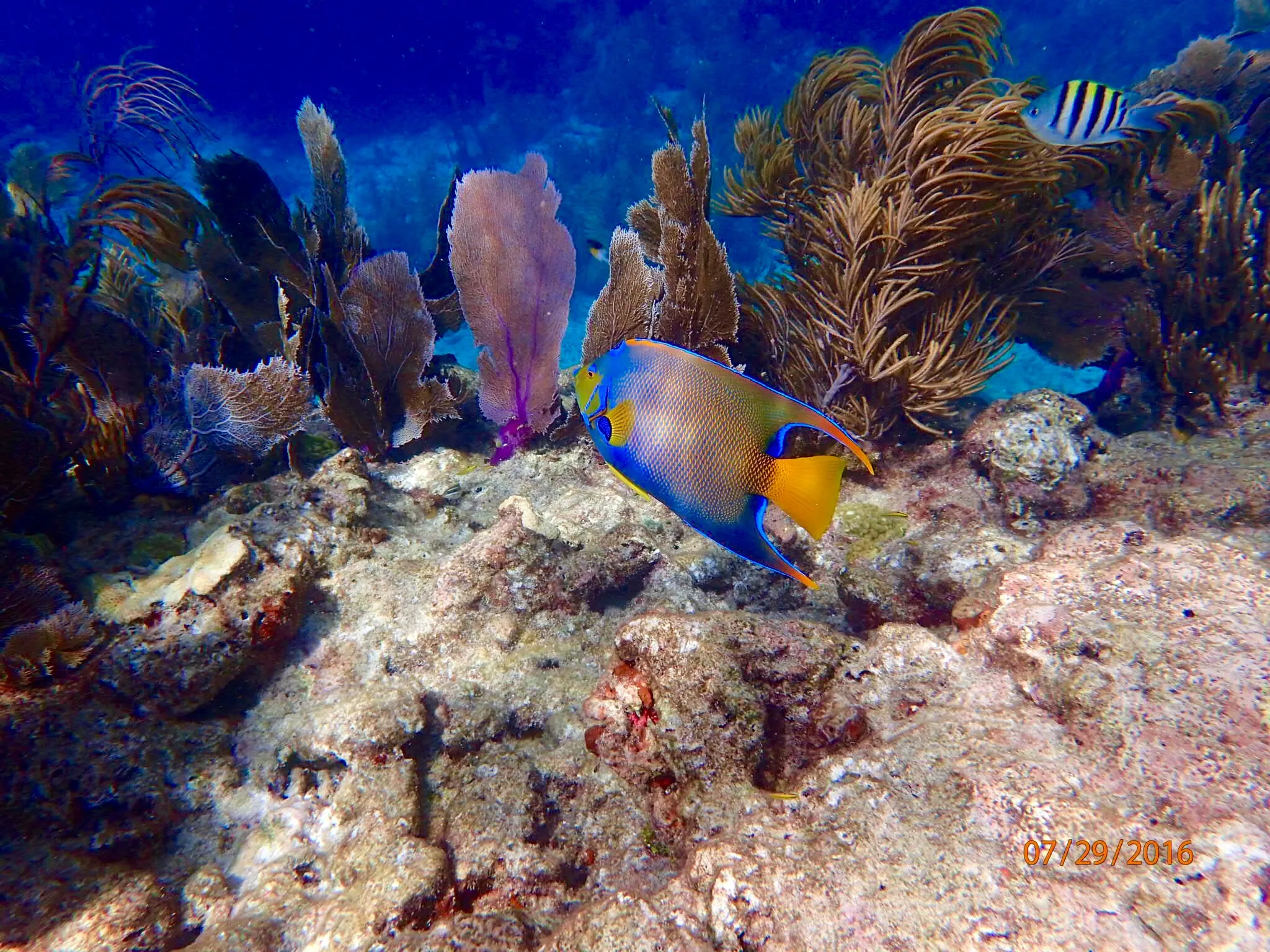 Snorkel at Sombrero Reef