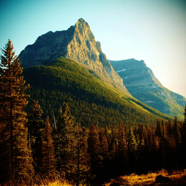 Get Grounded: The Benefits of Barefoot Contact with the Earth