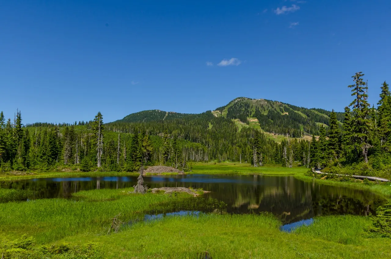 Centennial Loop Trail in Strathcona Provincial Park