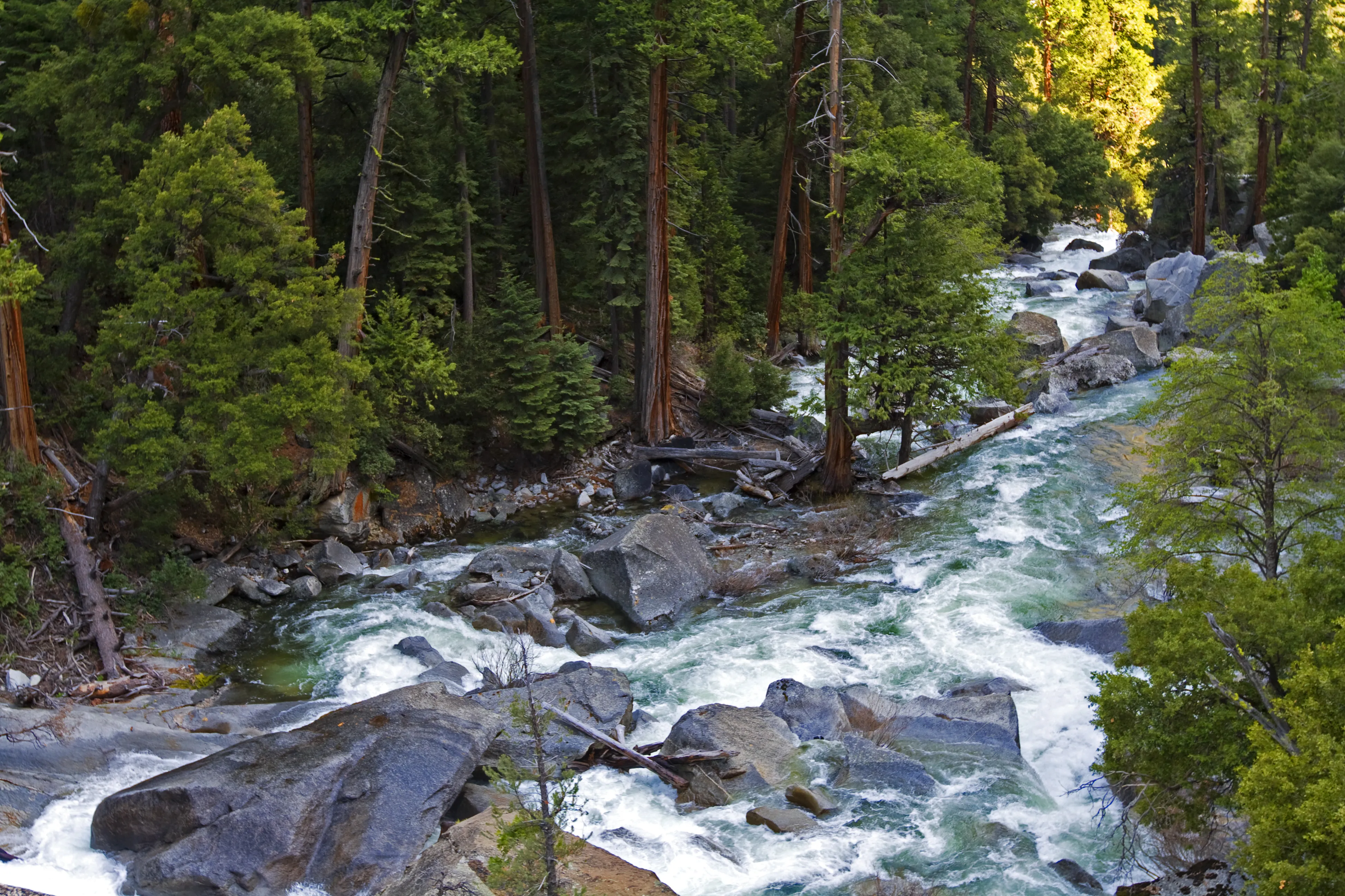 Mist Falls