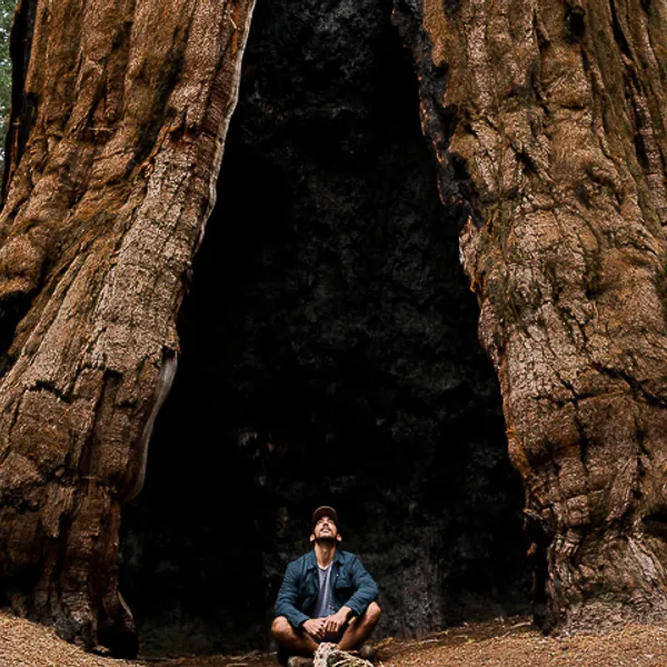 Your Perfect Weekend in Sequoia National Park