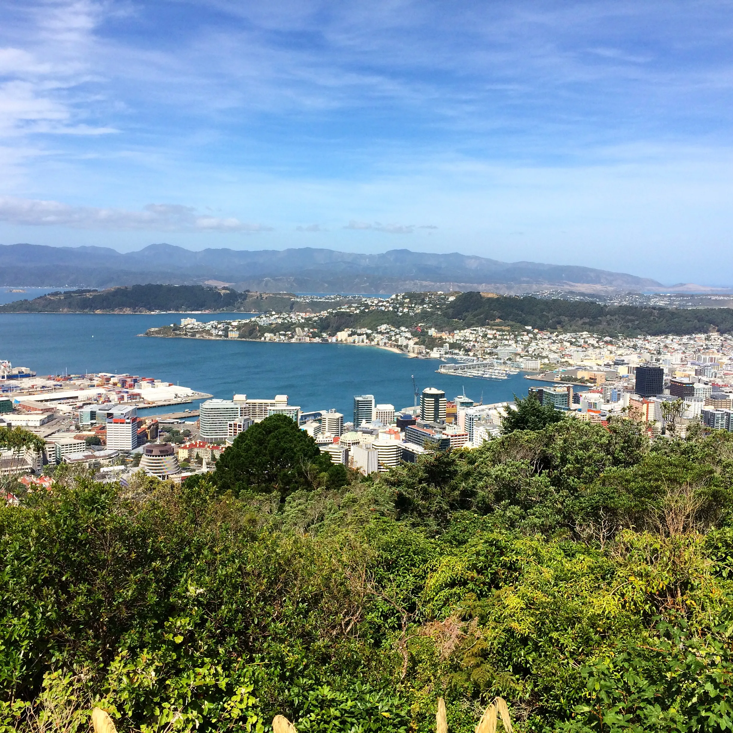 Te Ahumairangi Hill