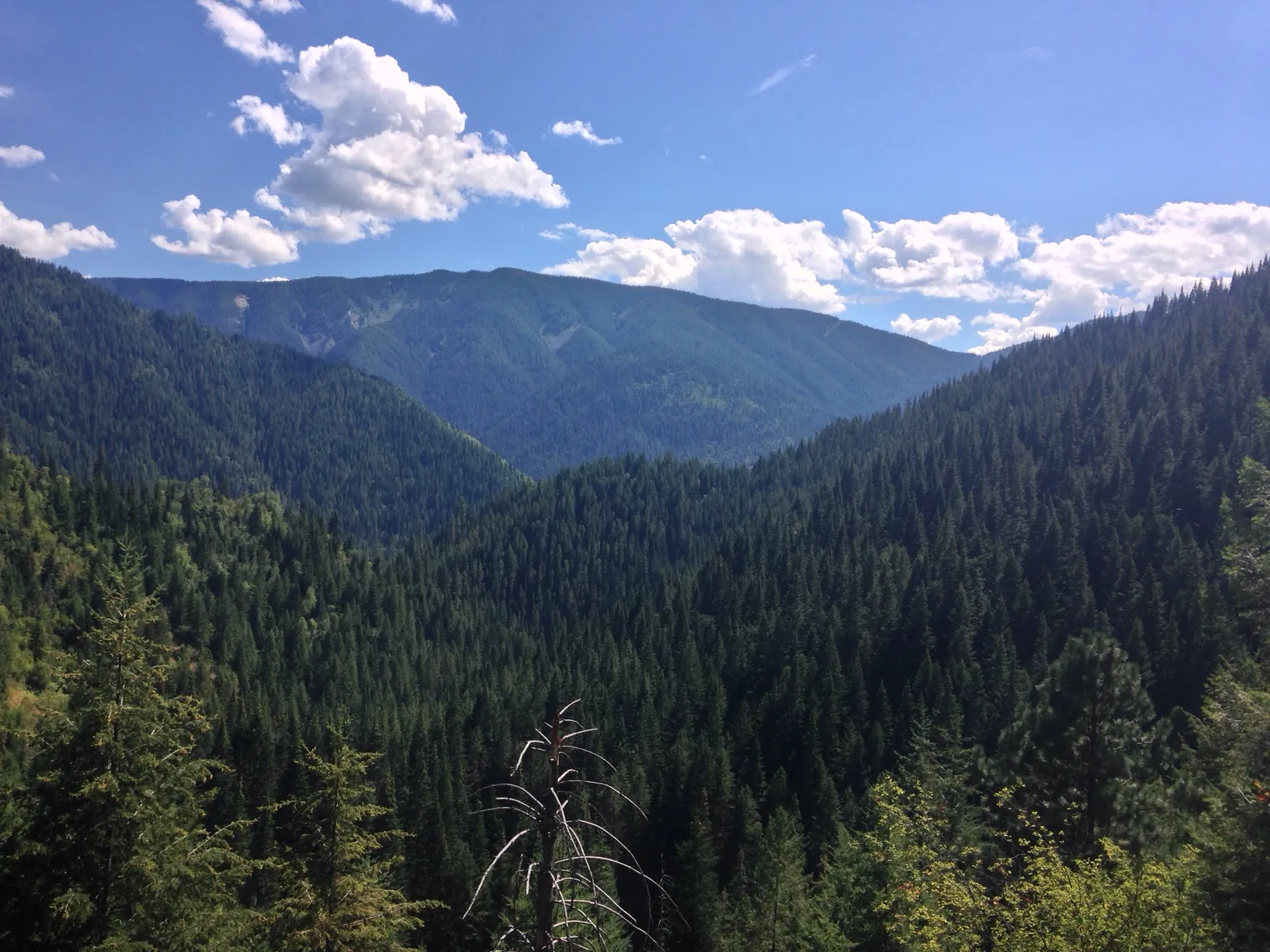 Hike Sherman Creek Trail #203