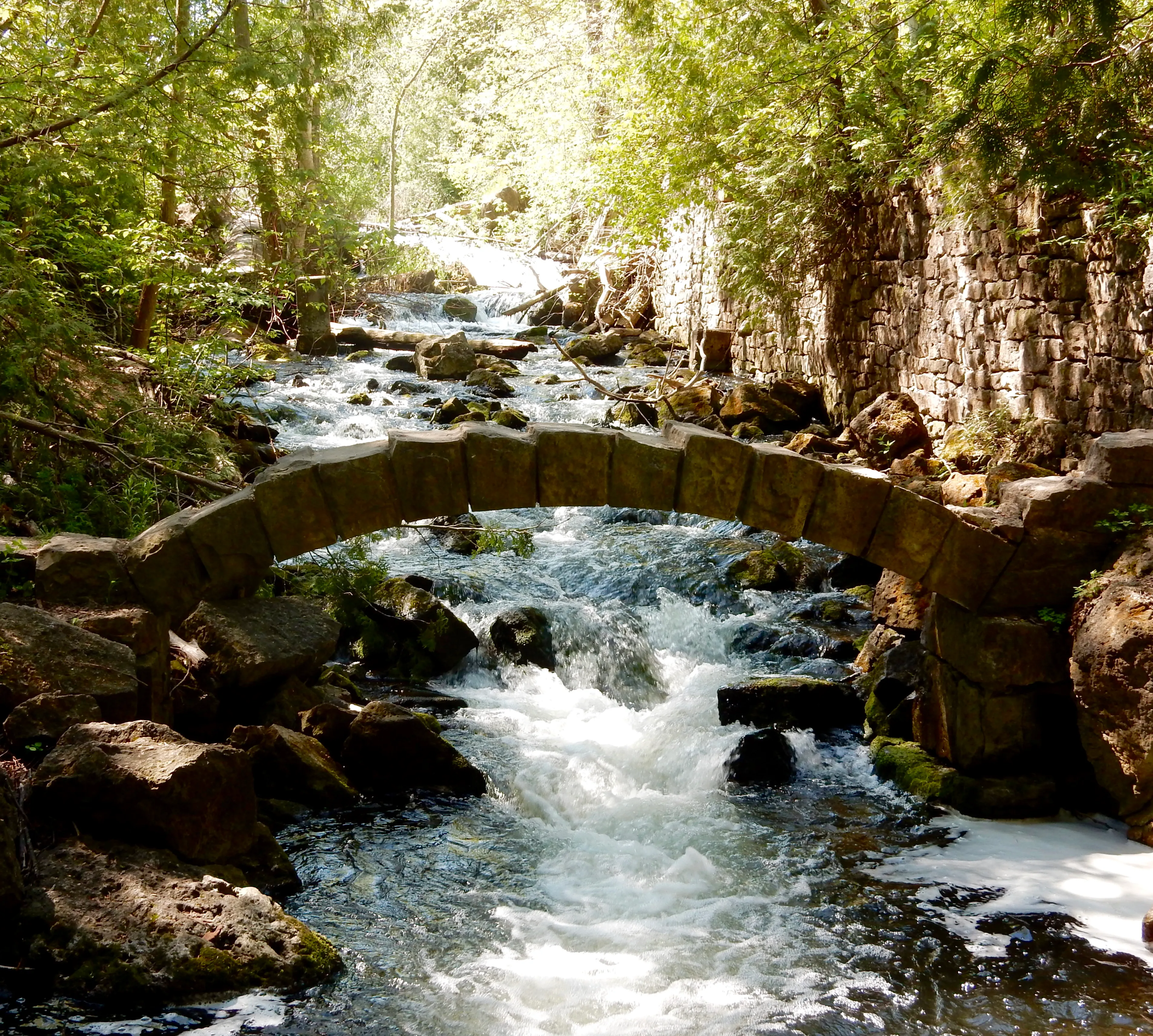 Hike the Limehouse Conservation Area Loop