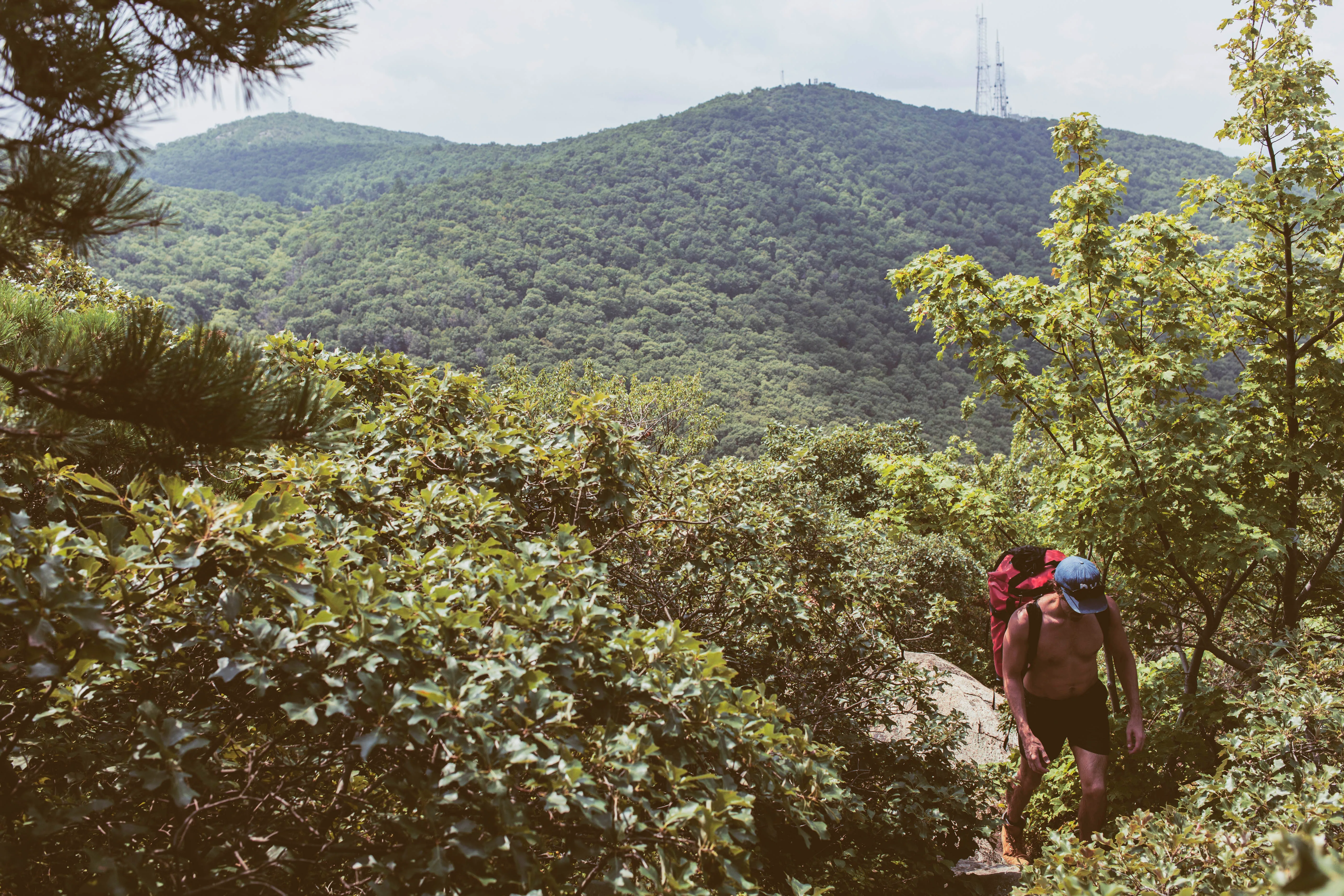 Malouf's Mountain Camp on Mt. Beacon