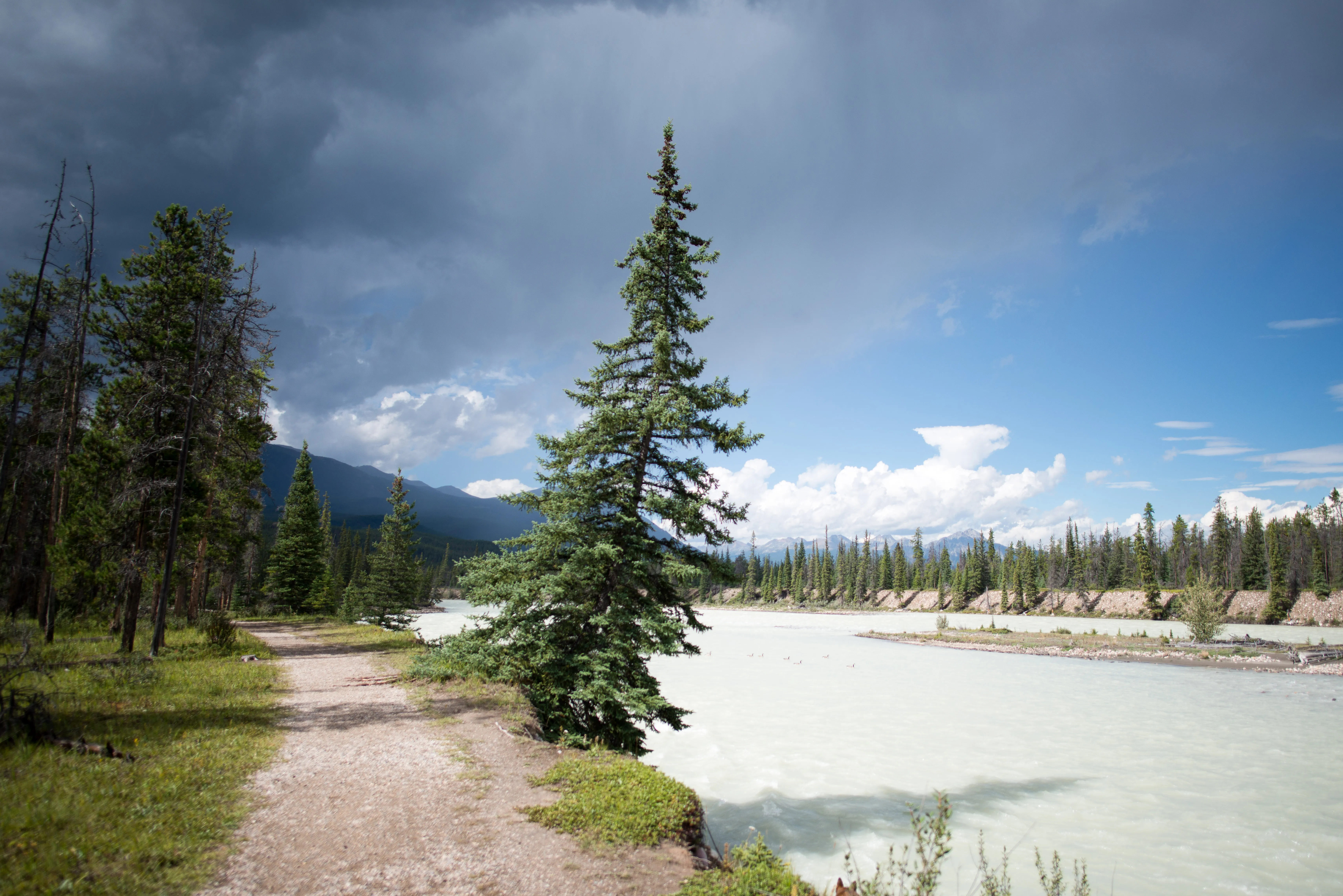 Wabasso Campground, Jasper NP