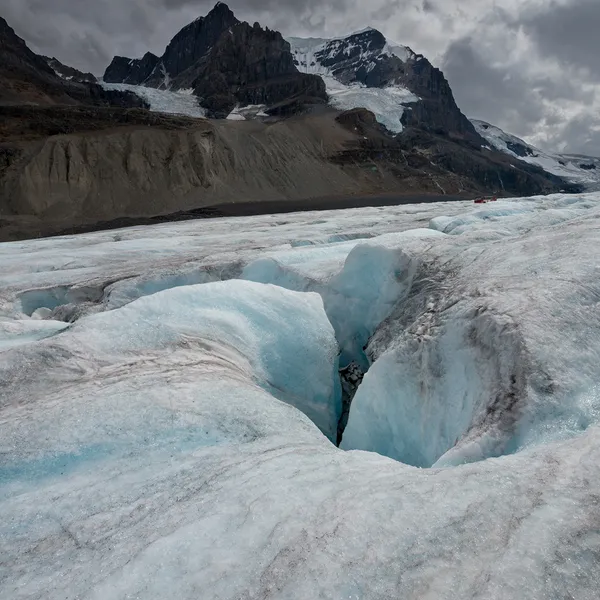  Hike along the Athabasca Glacier 