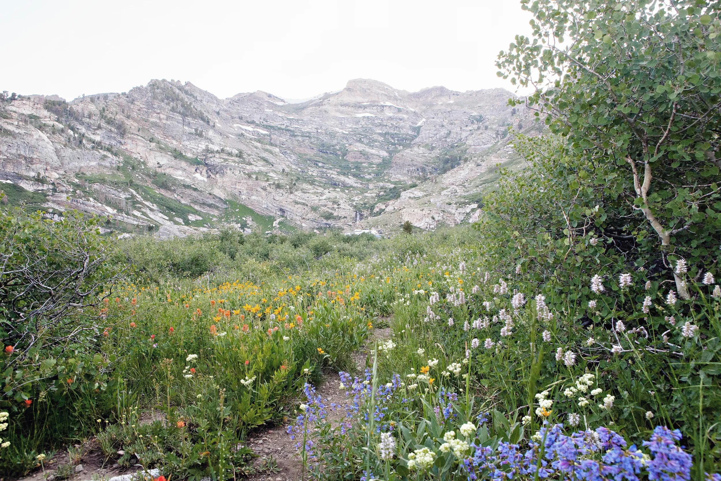 Camp at Angel Lake in the Ruby Mountains