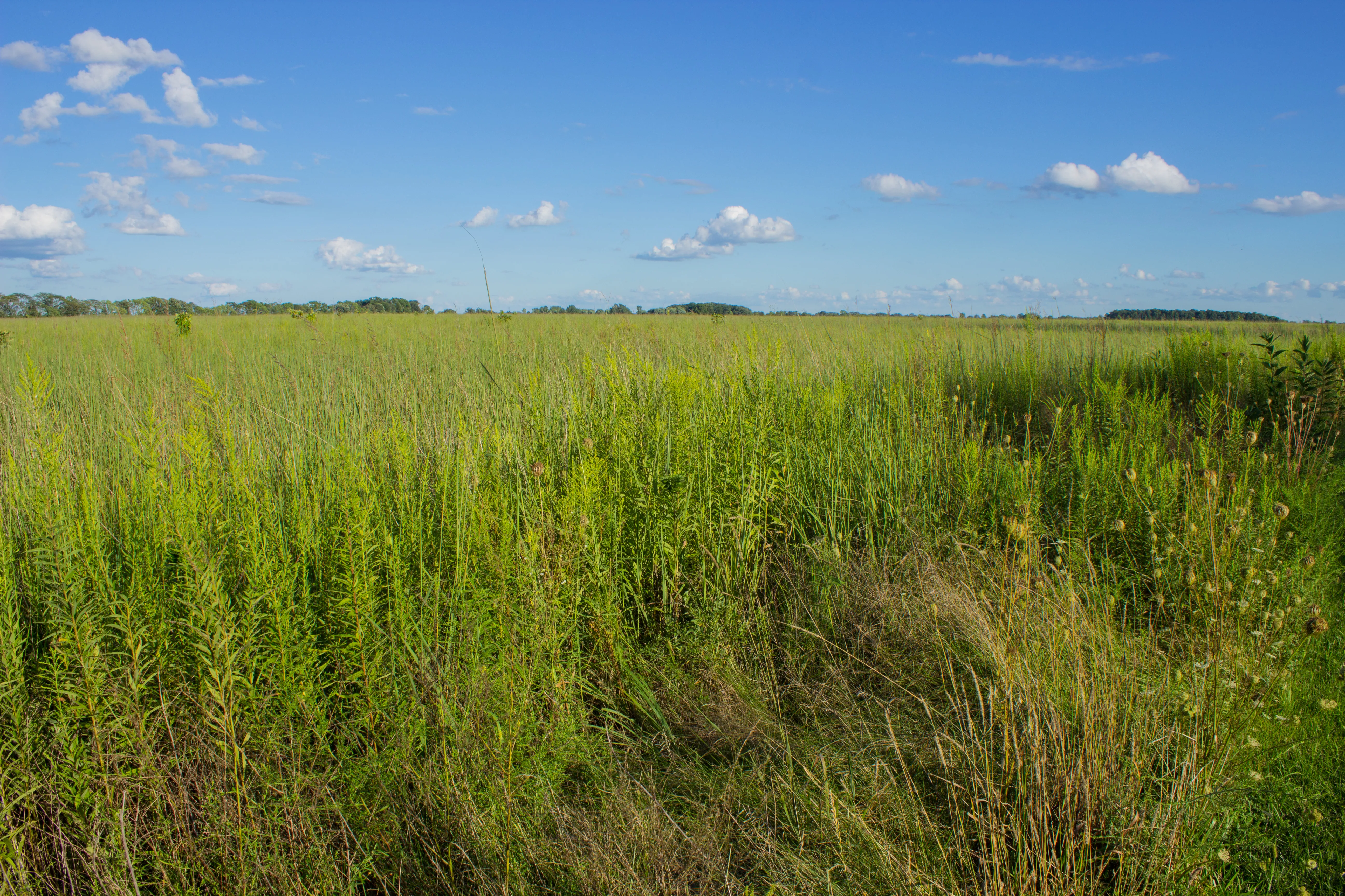 Hike the Darby Creek Greenway