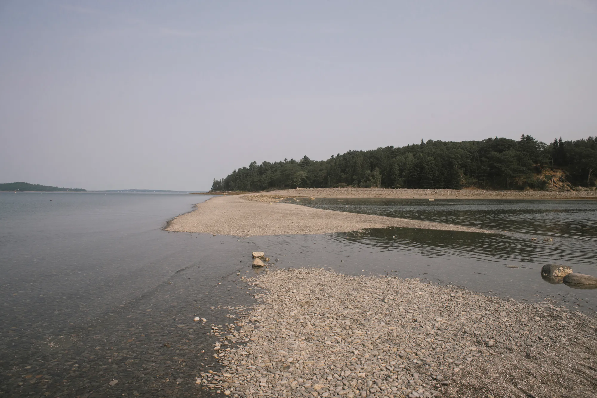 Bar Island Trail