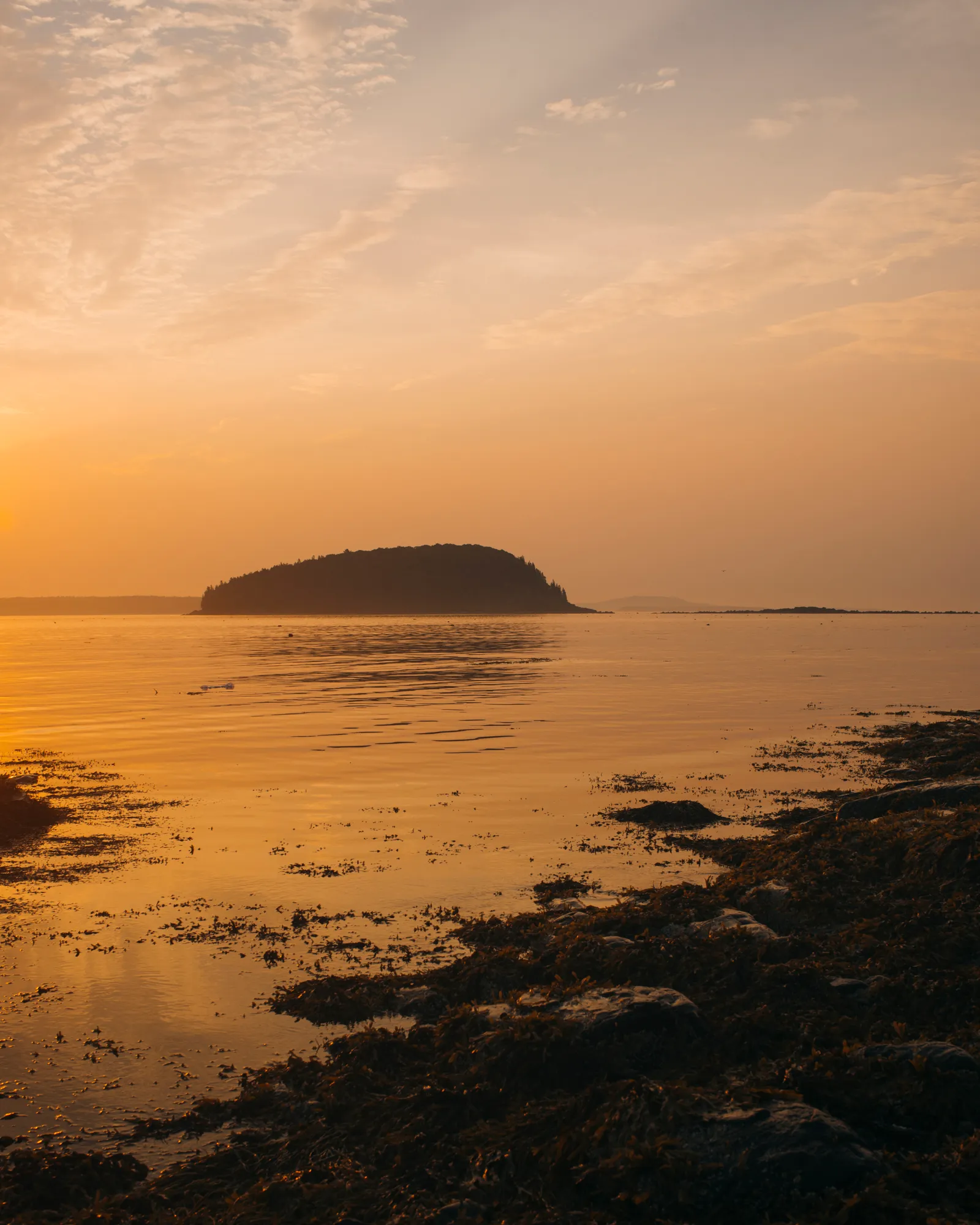 Bar Harbor Shore Path 