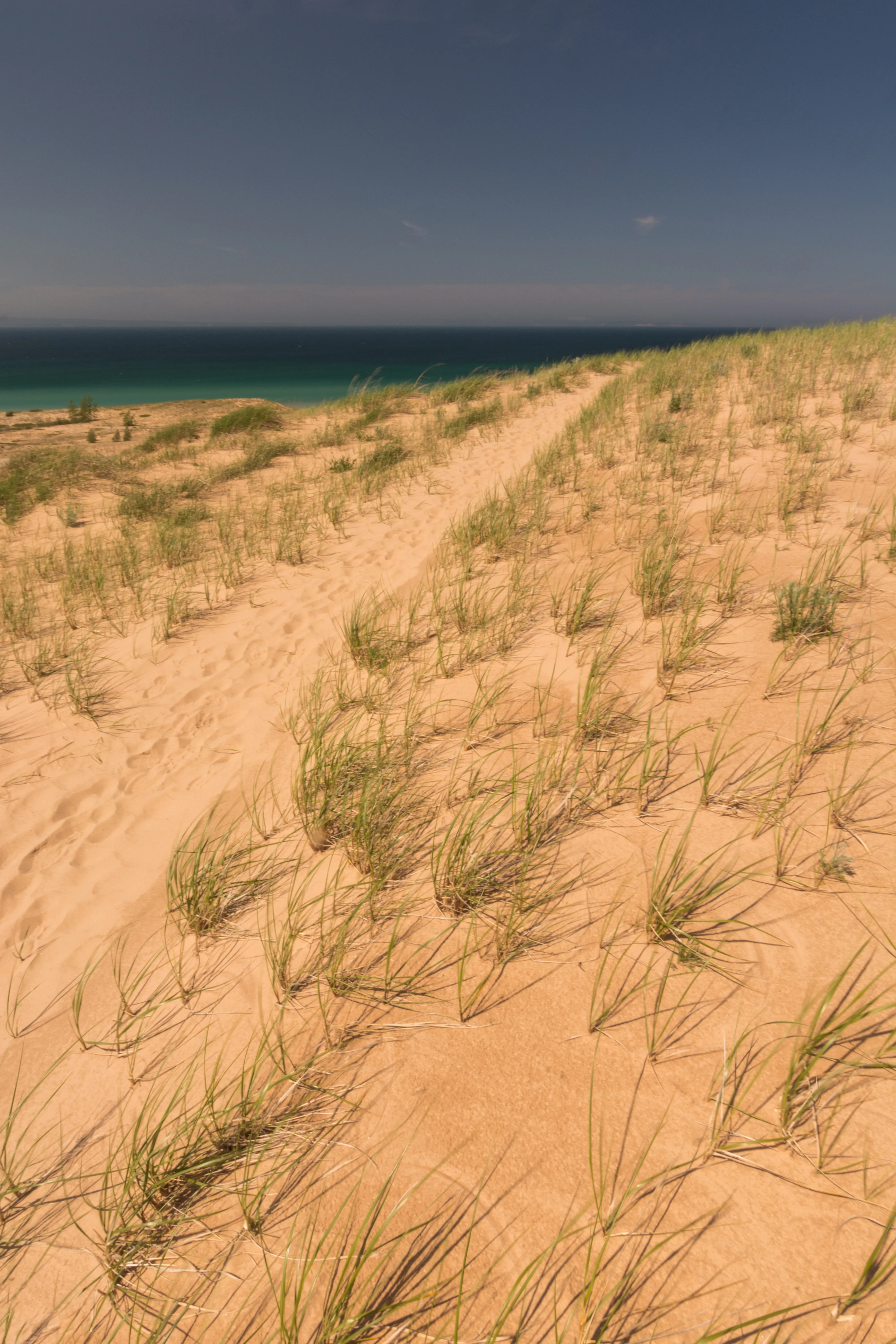 Hike the Sleeping Bear Point Trail