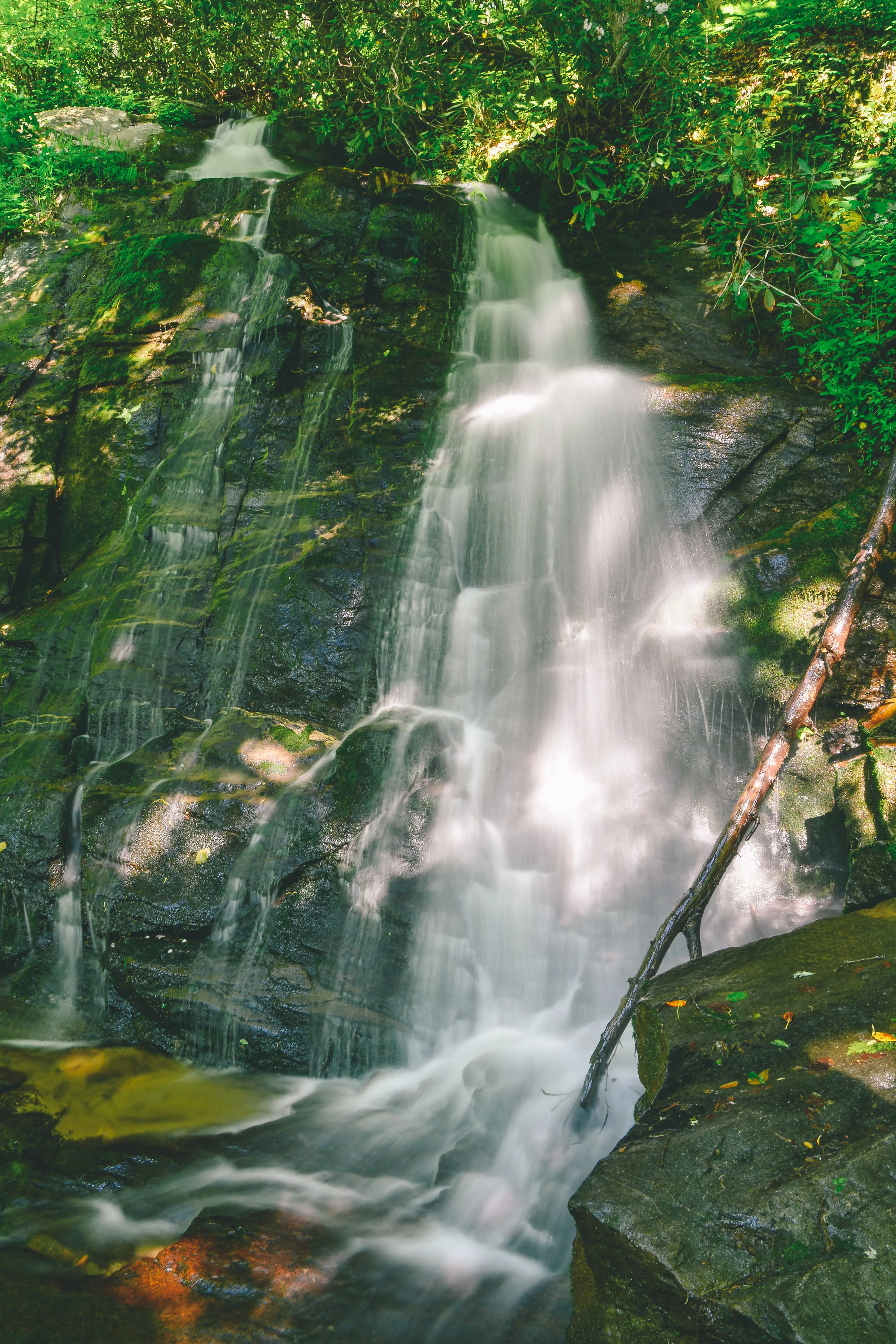 Hike the Juney Whank Falls Loop
