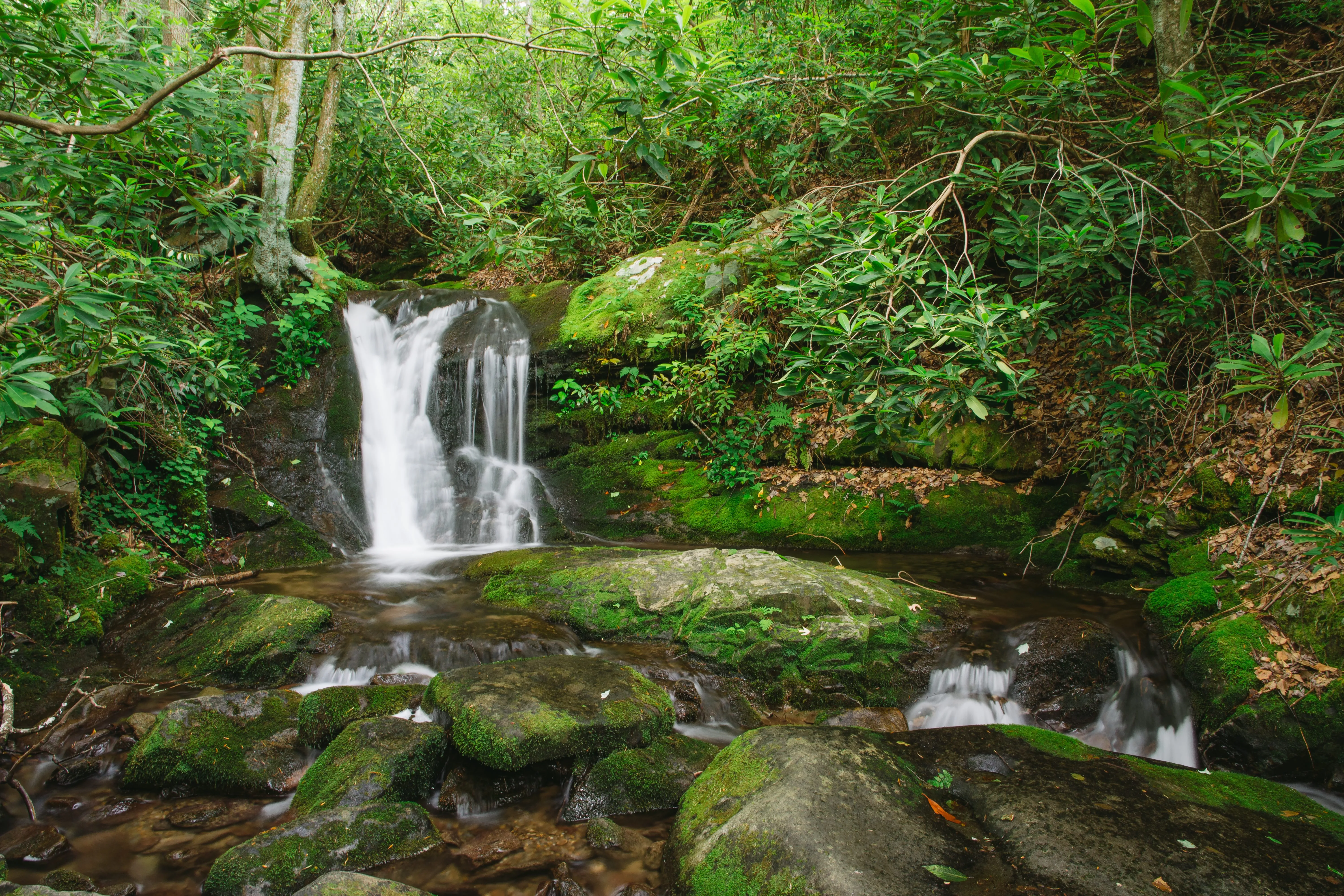 Hike the Cucumber Gap and Little River Loop