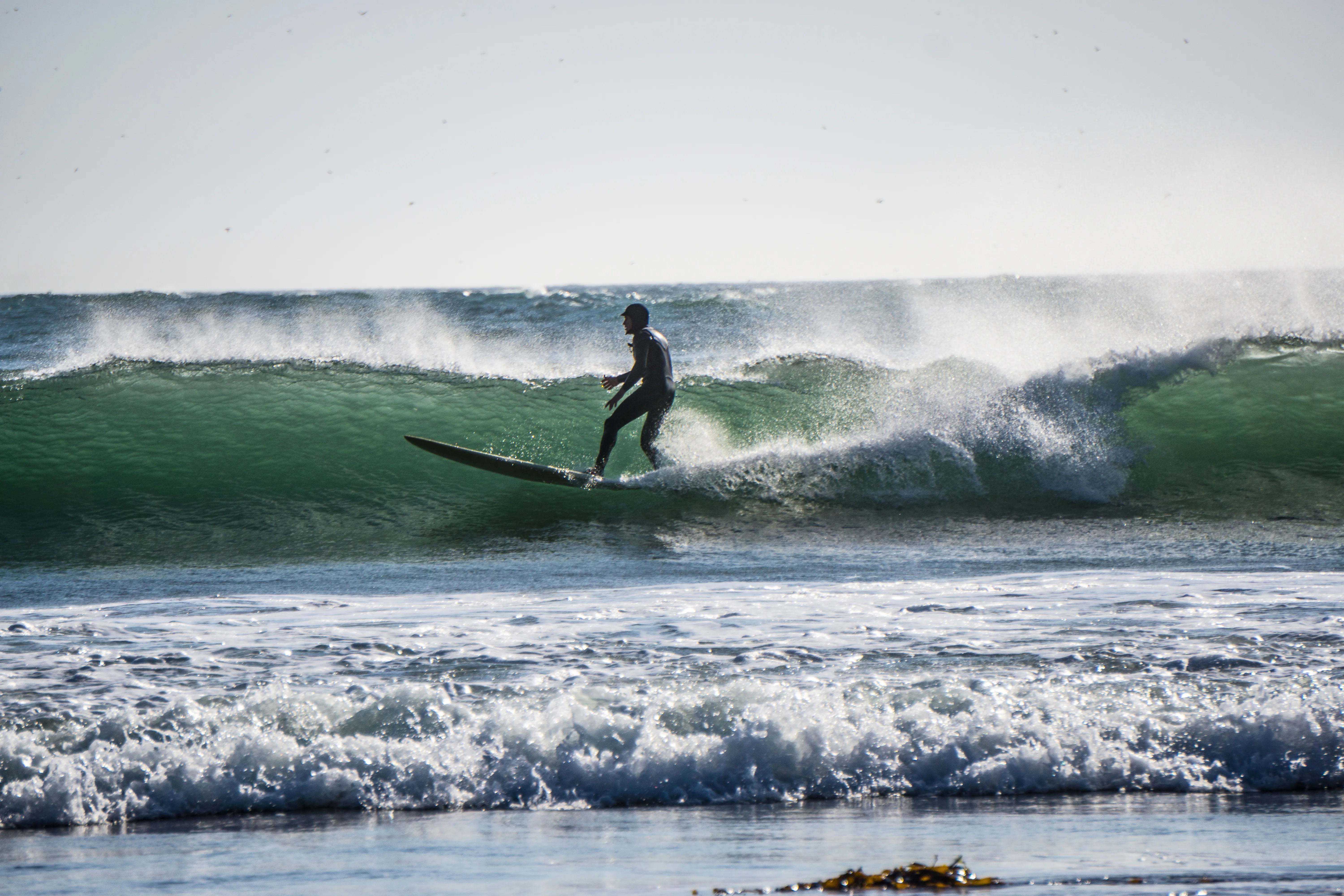 Surf Pacific City