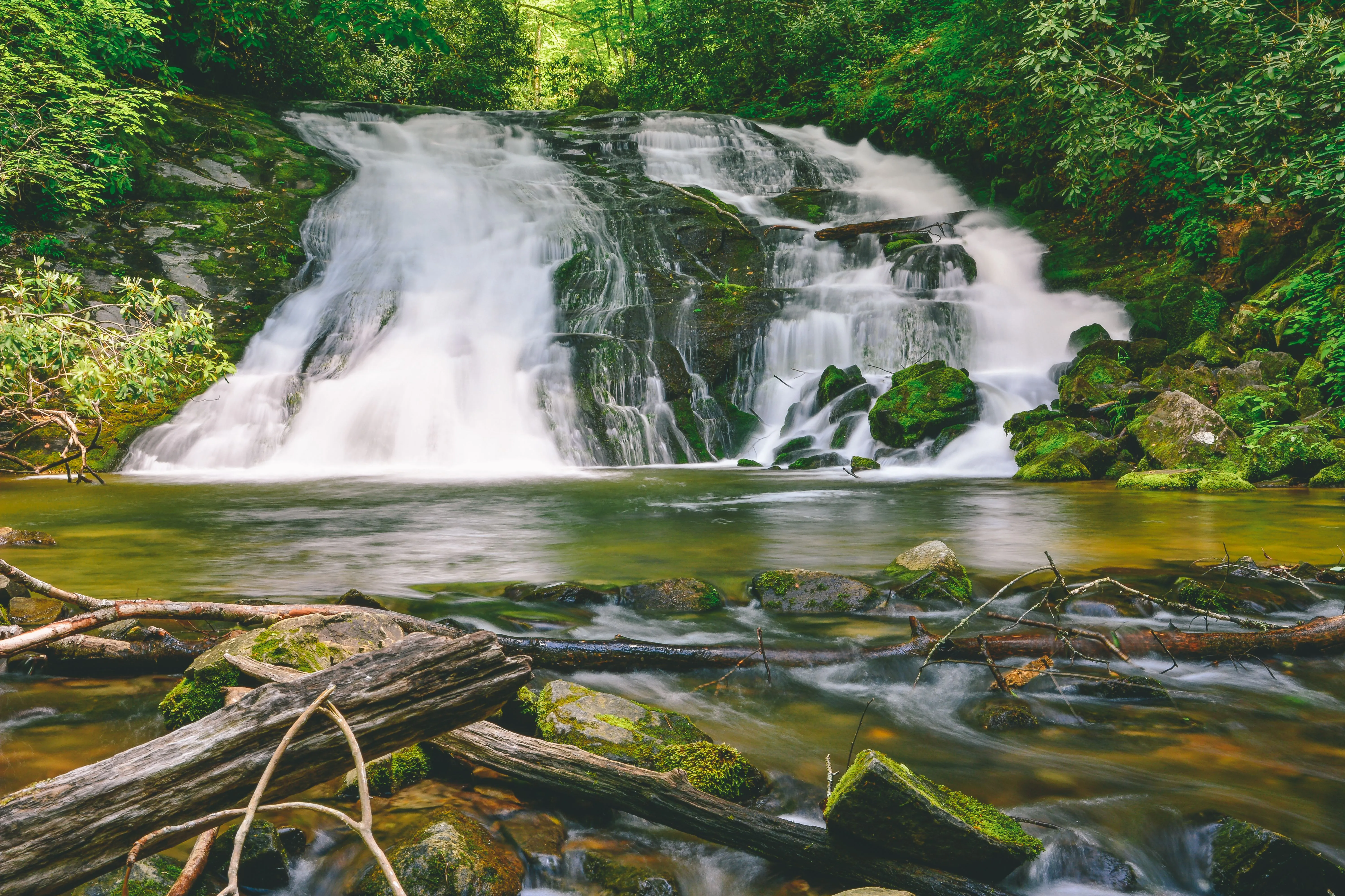 Tom Branch and Indian Creek Falls