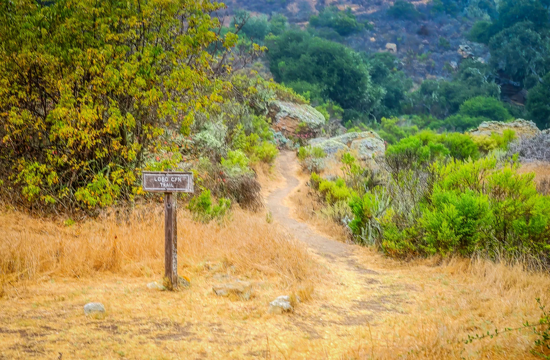 Lobo Canyon Trail via Santa Rosa Campground
