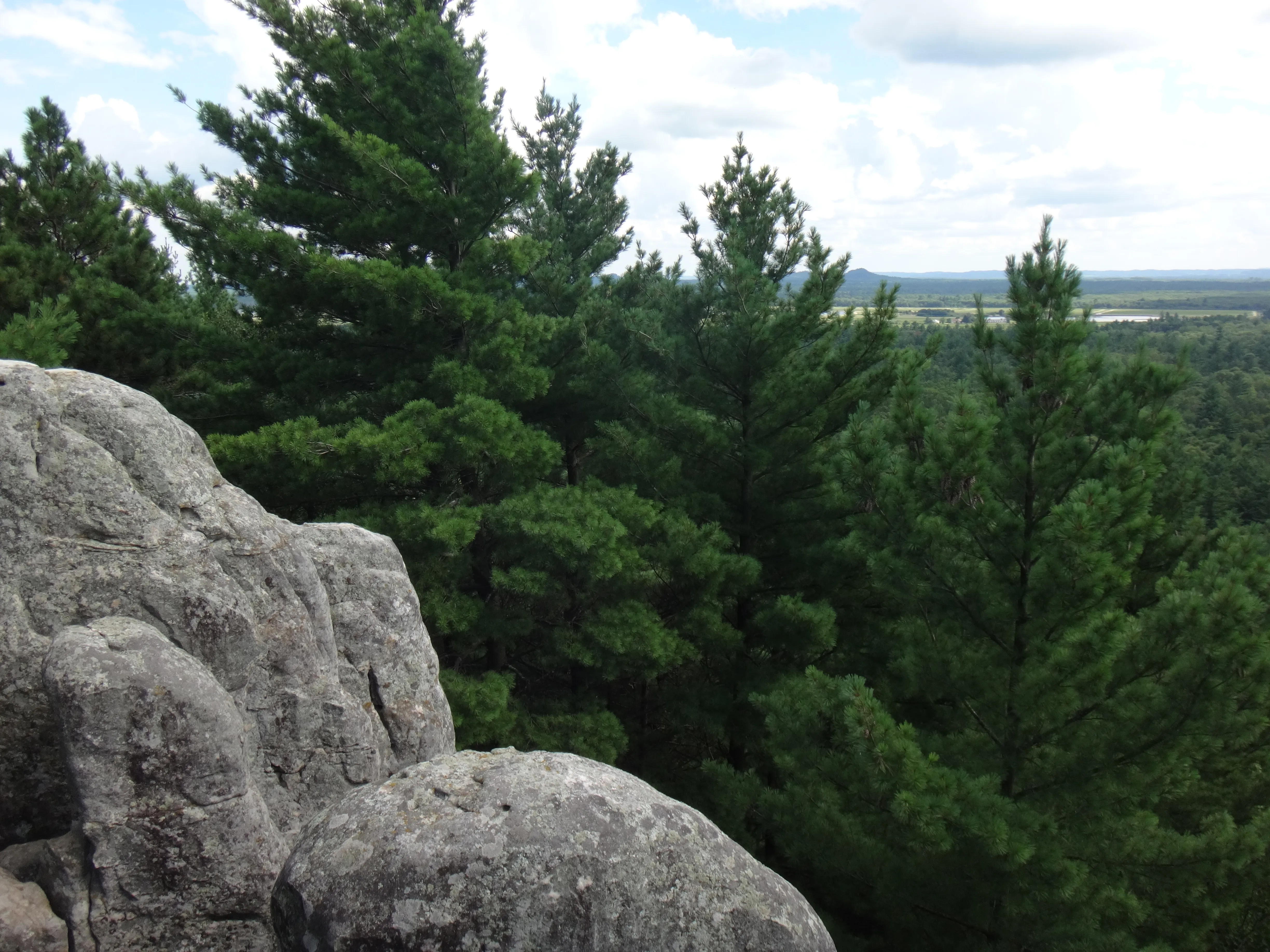Castle Mound Lookout at Black River State Forest