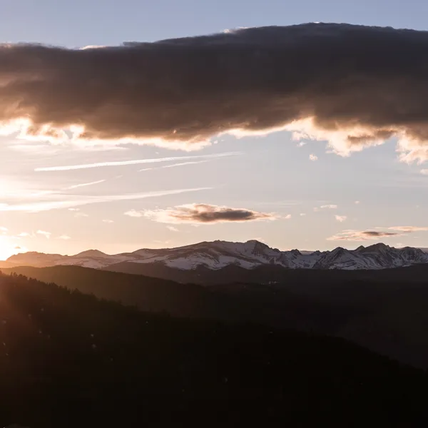 The True Beauty of the Wild