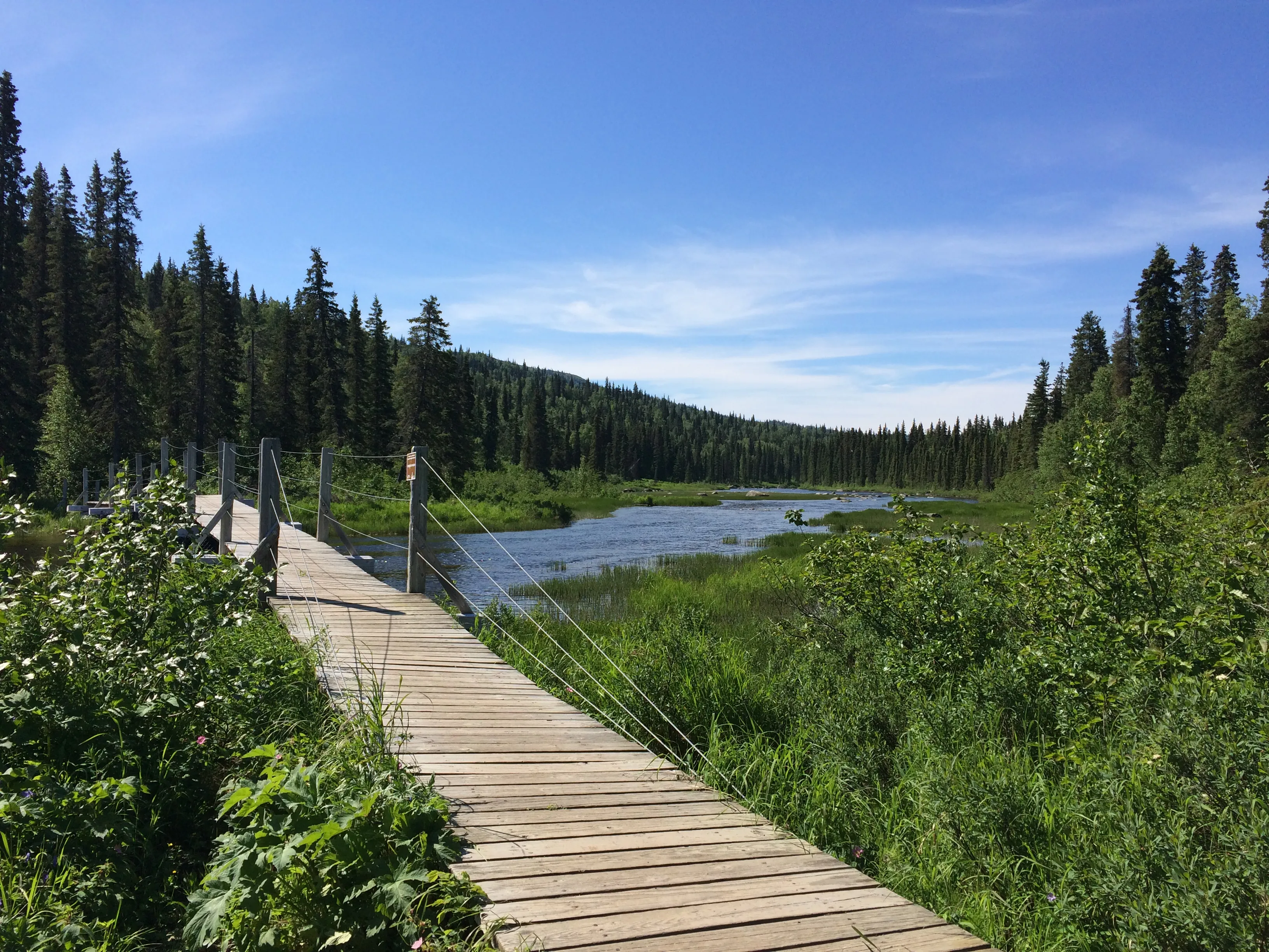 Hike Byer's Lake Loop
