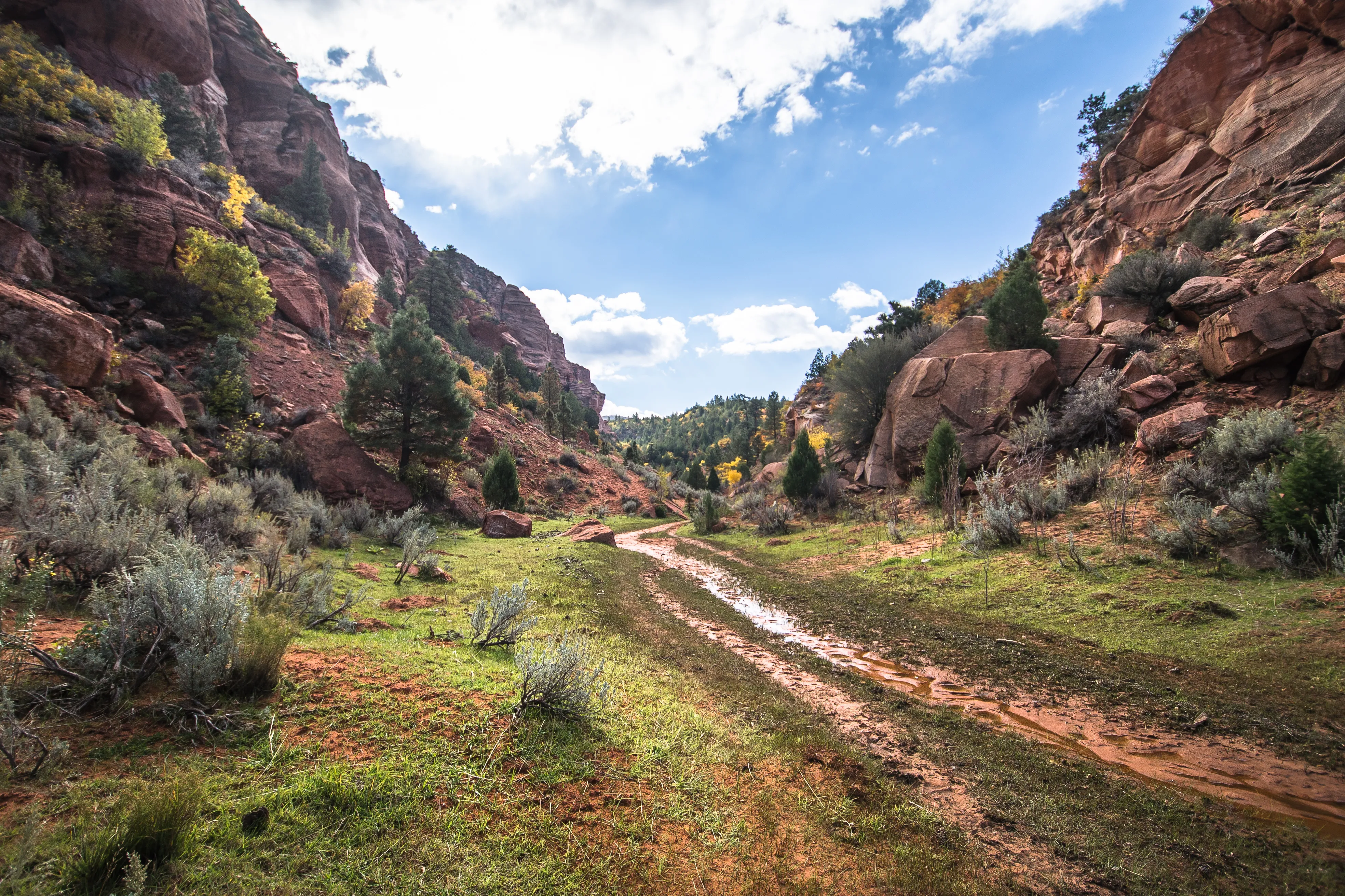 Hop Valley Trail, Zion NP