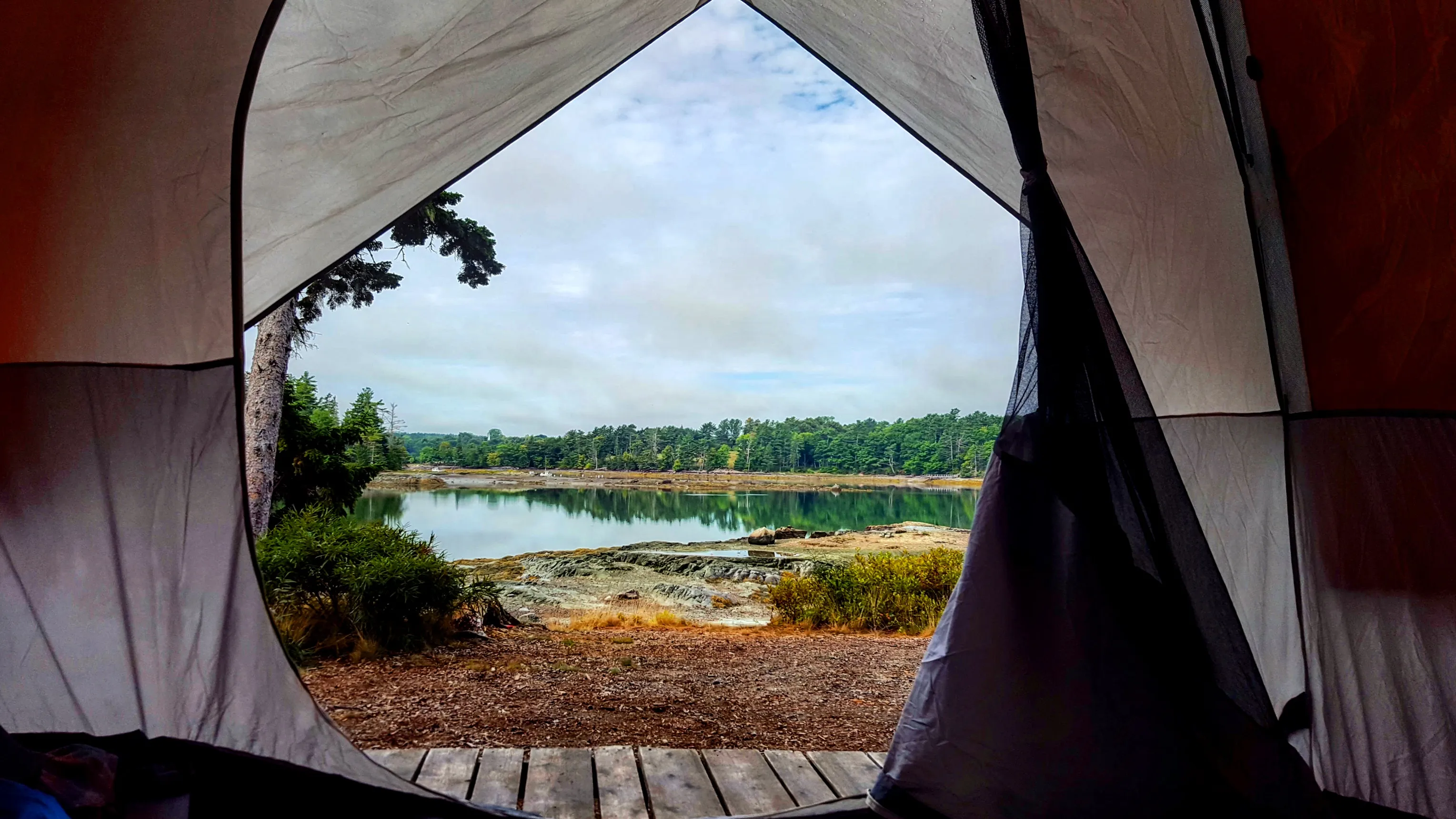 Camp at Mount Desert Campground on Somes Sound