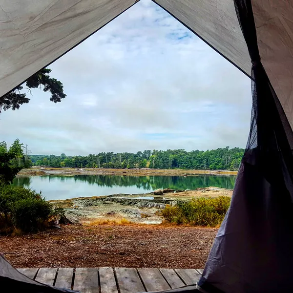 Camp at Mount Desert Campground on Somes Sound