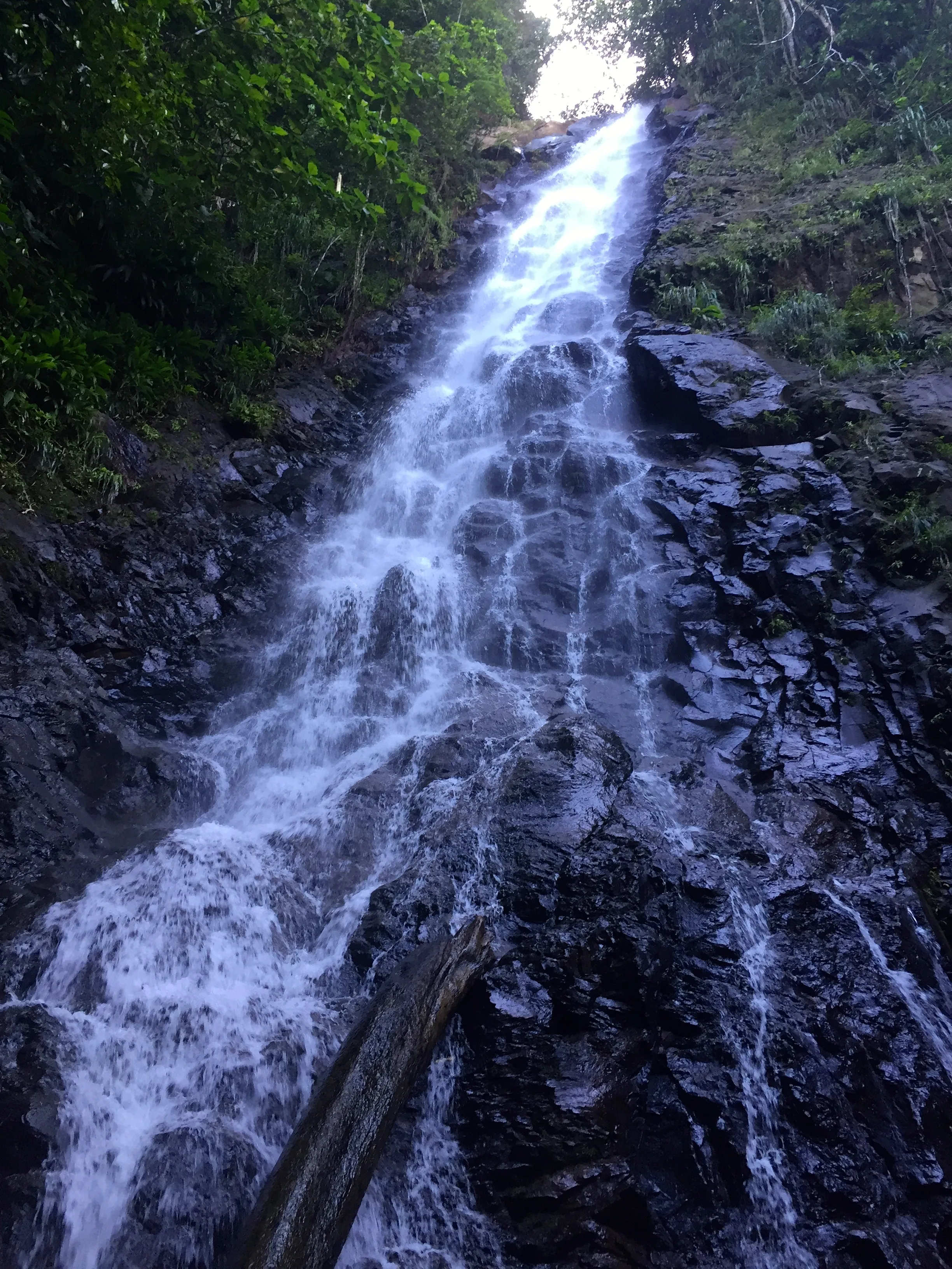 Hike to Brandy Falls, Dominica