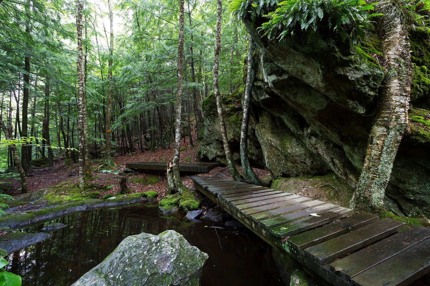 Pulpit Rock Conservation Area Loop