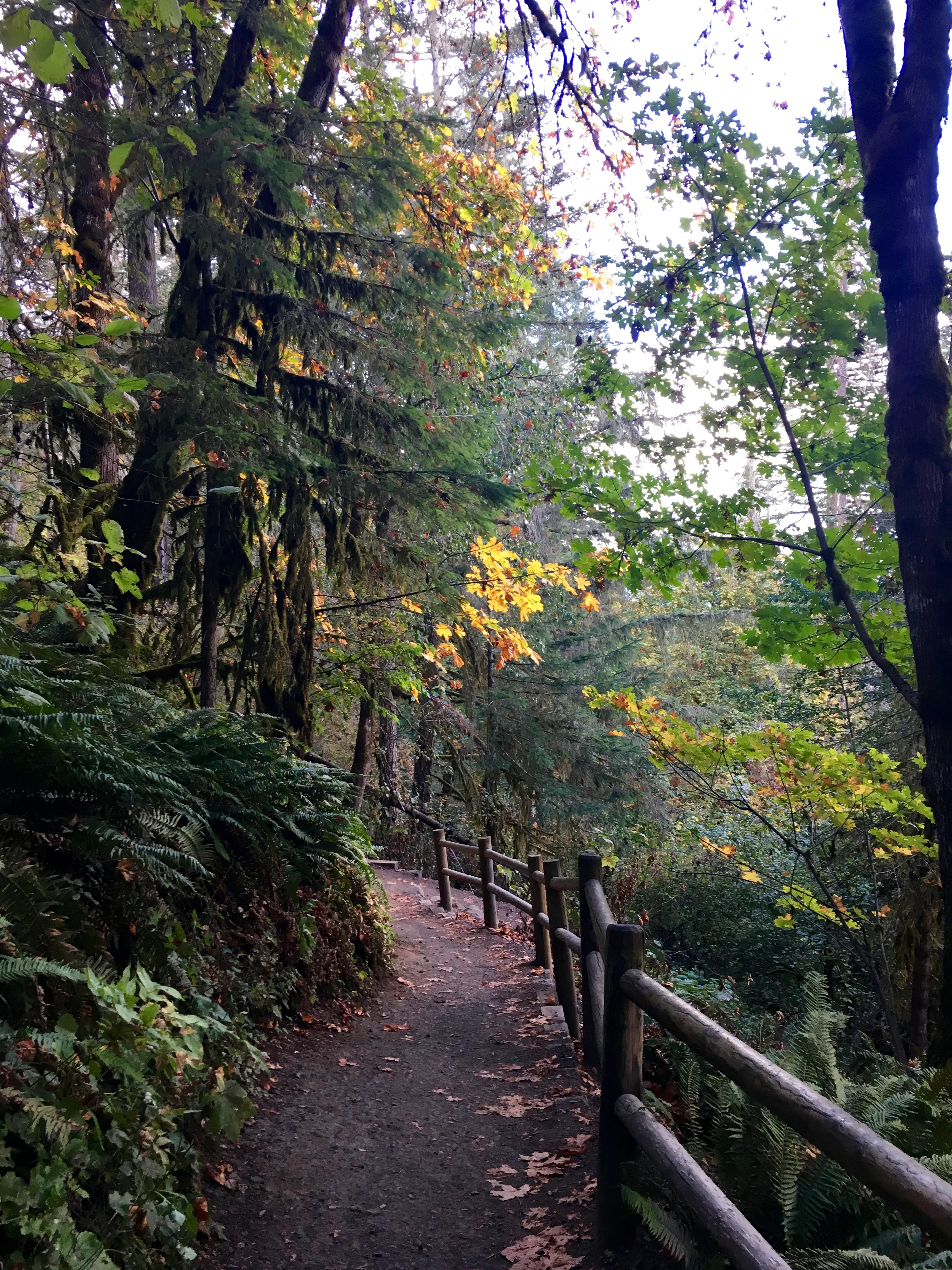Spencer Butte Loop