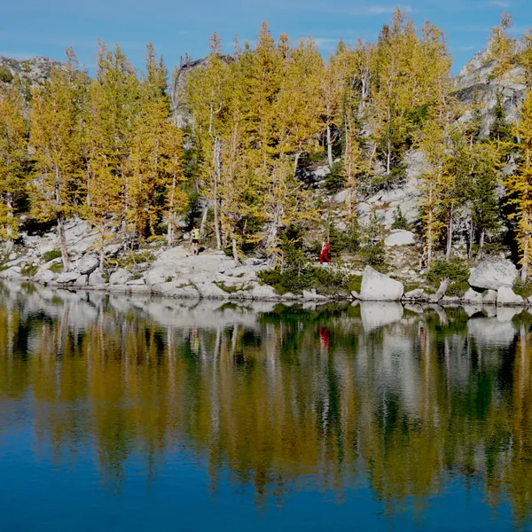 The Value of Slowing Down in the Wild