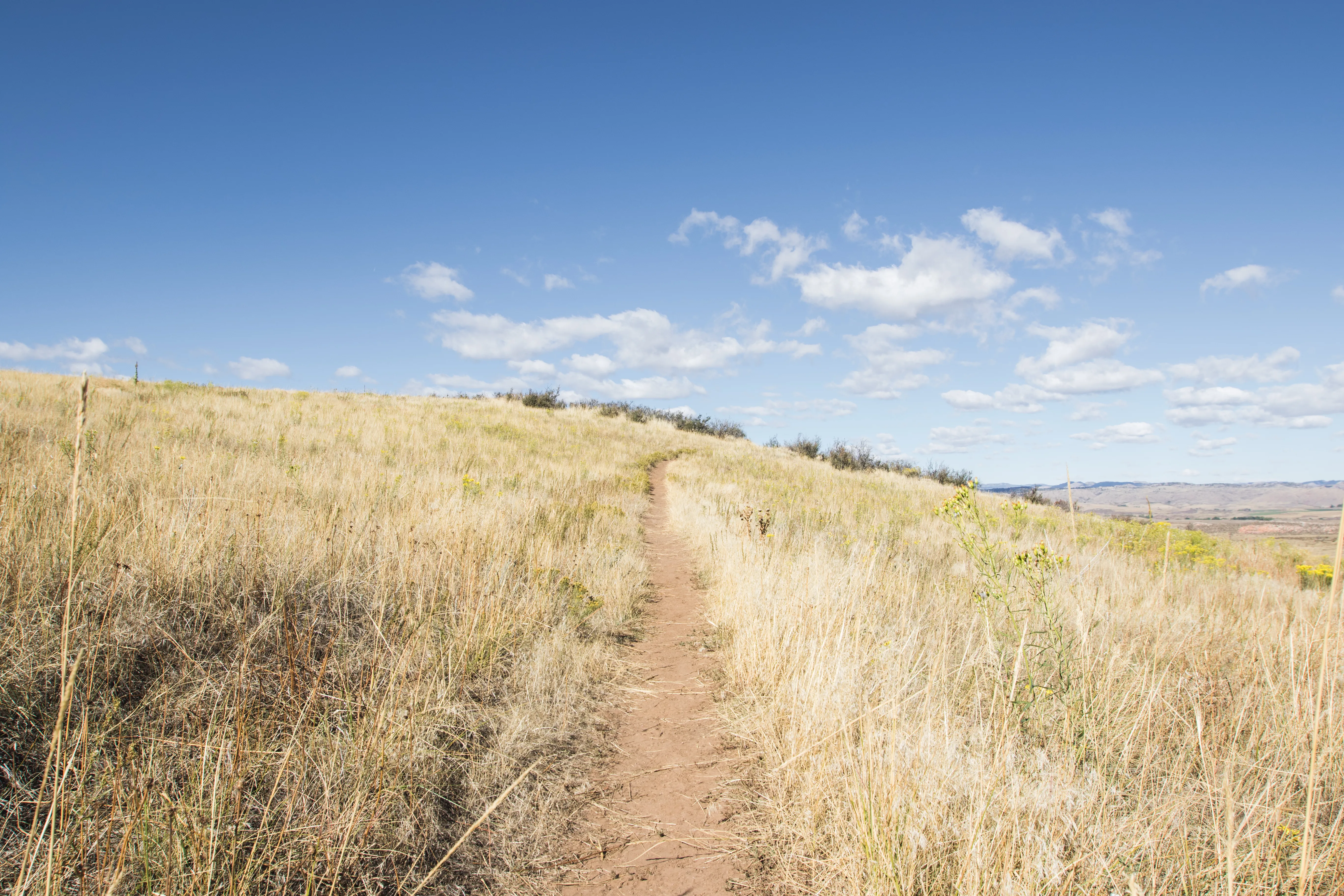 Hike the 3 Bar and Oh Tee Loops at Eagle's Nest Open Space