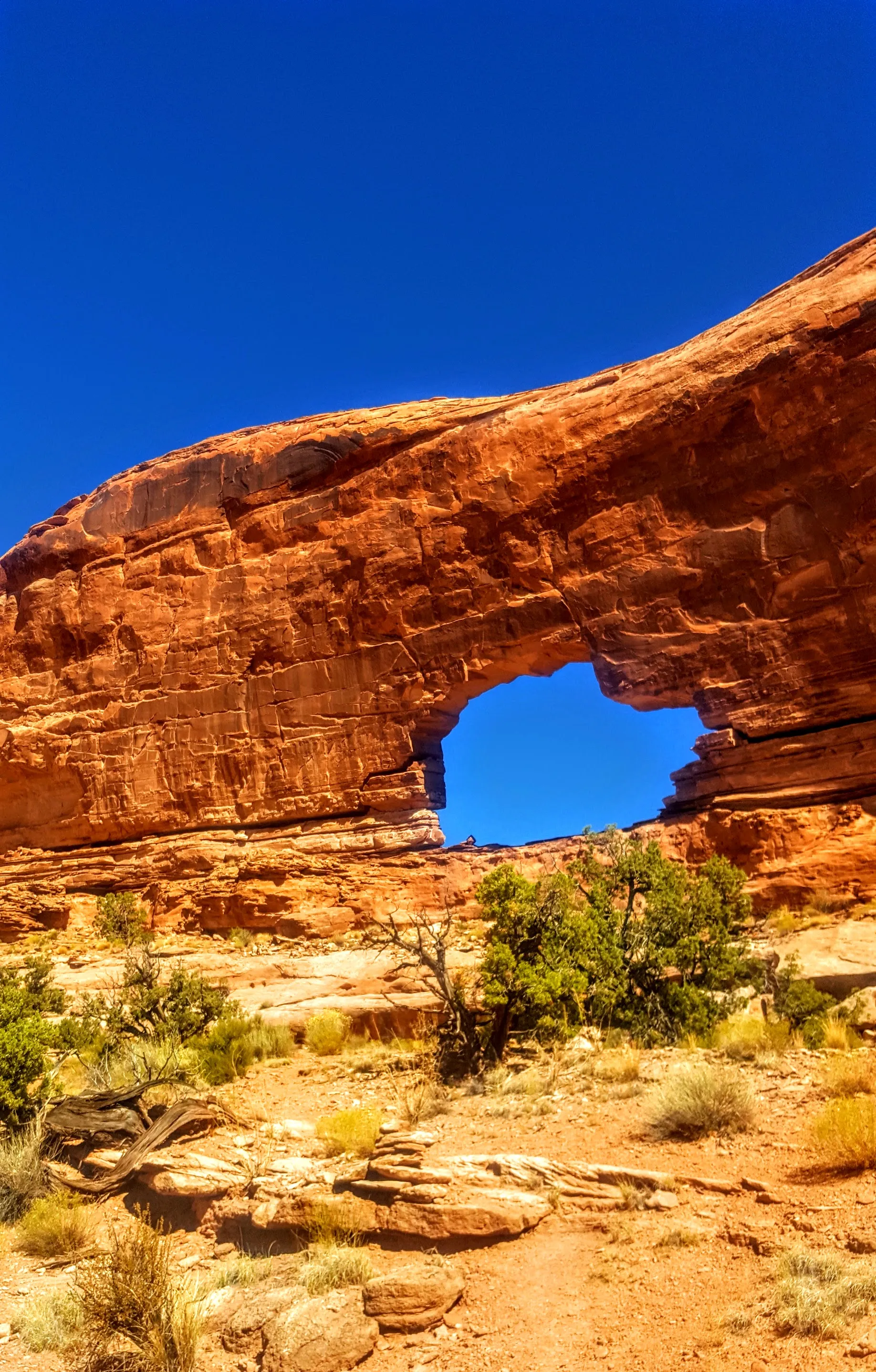 Jeep Arch Trail