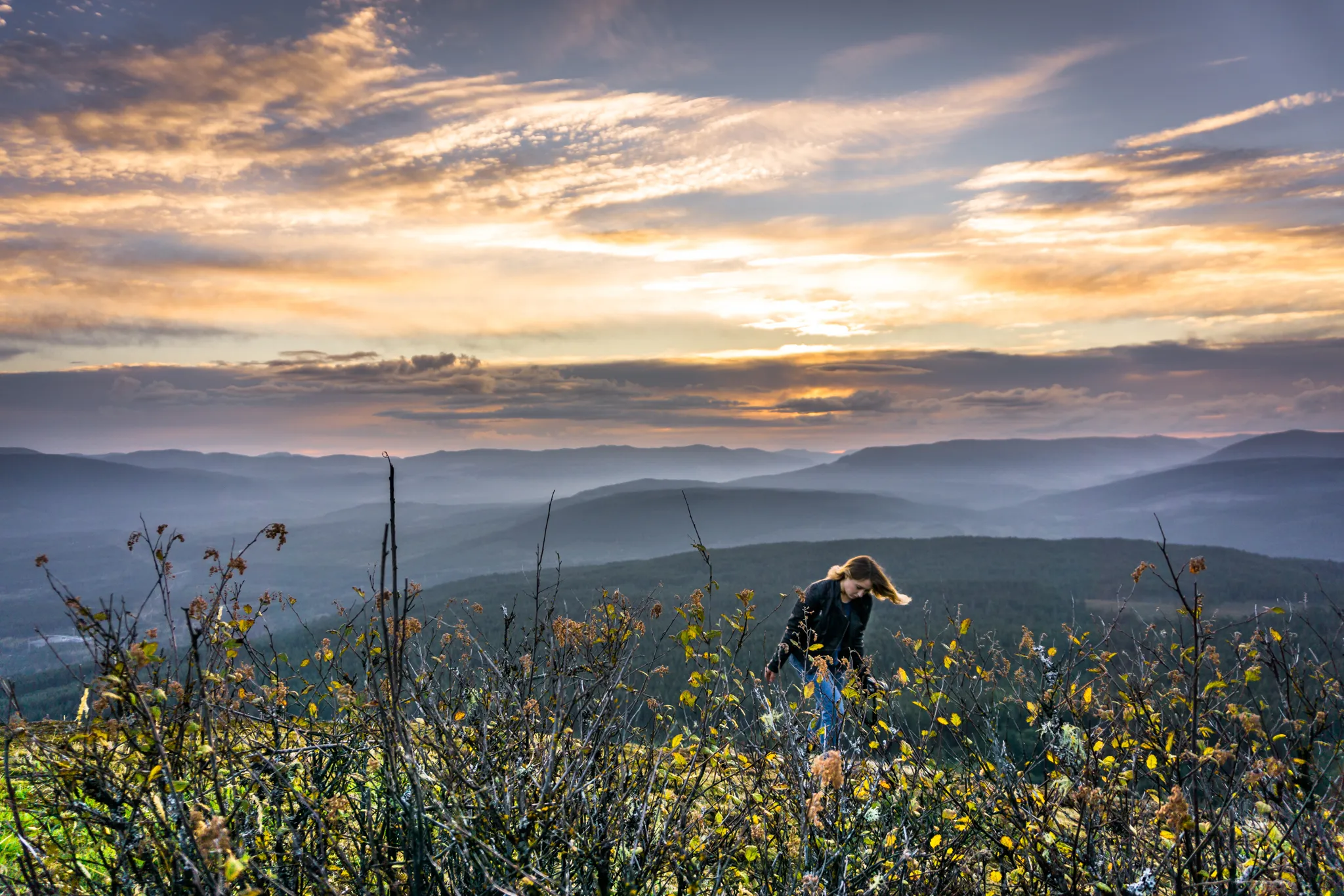 Hike Mount Prevost