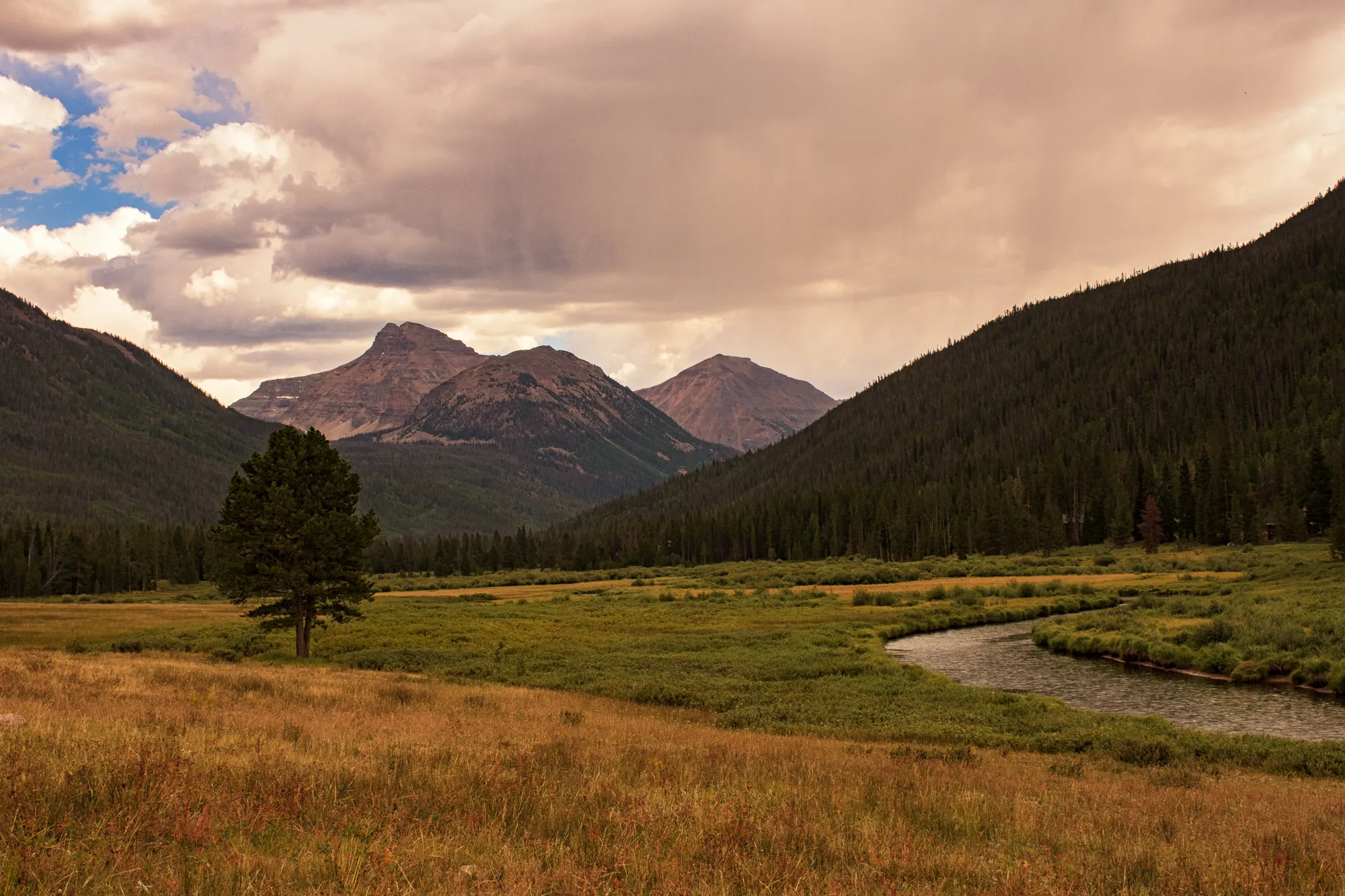 Camp at Christmas Meadows in the Uinta National Forest 