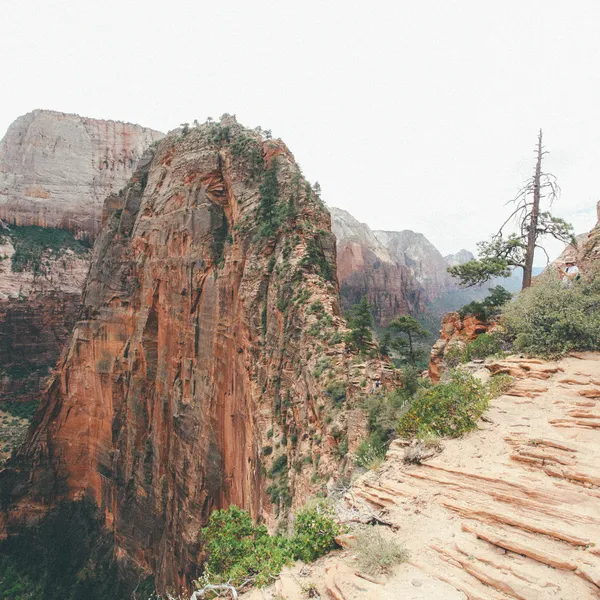 An Acrophobic Tries Hiking Angels Landing in Zion National Park