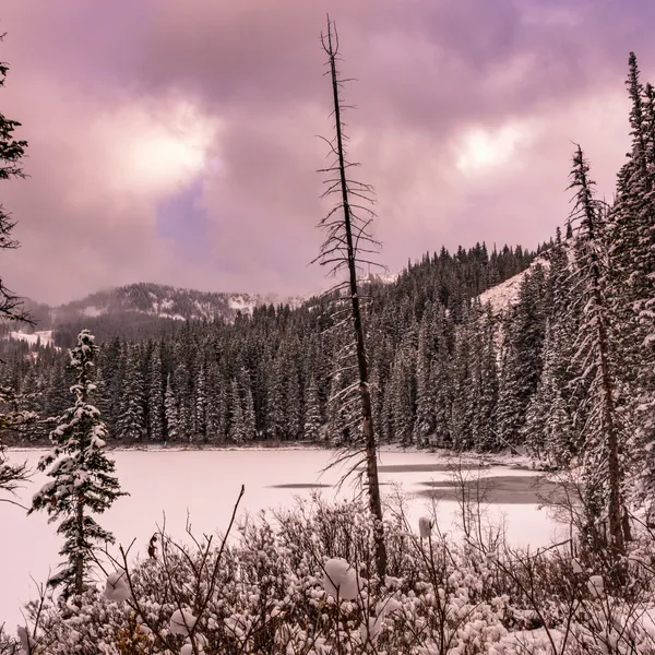 Why You Should Try Cross-Country Skiing This Winter 