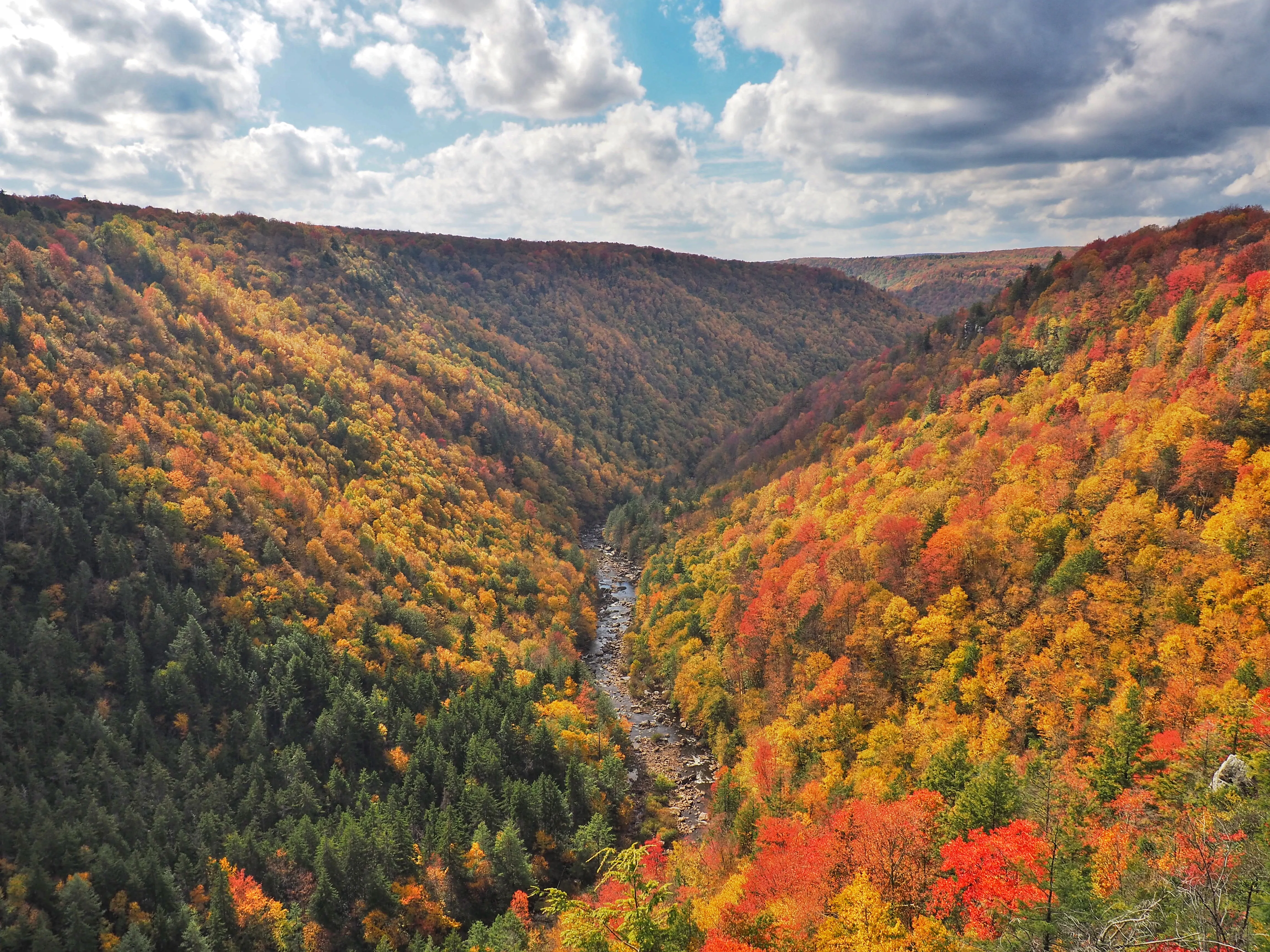 Take in the View at Pendleton Point Overlook in Blackwater Falls SP