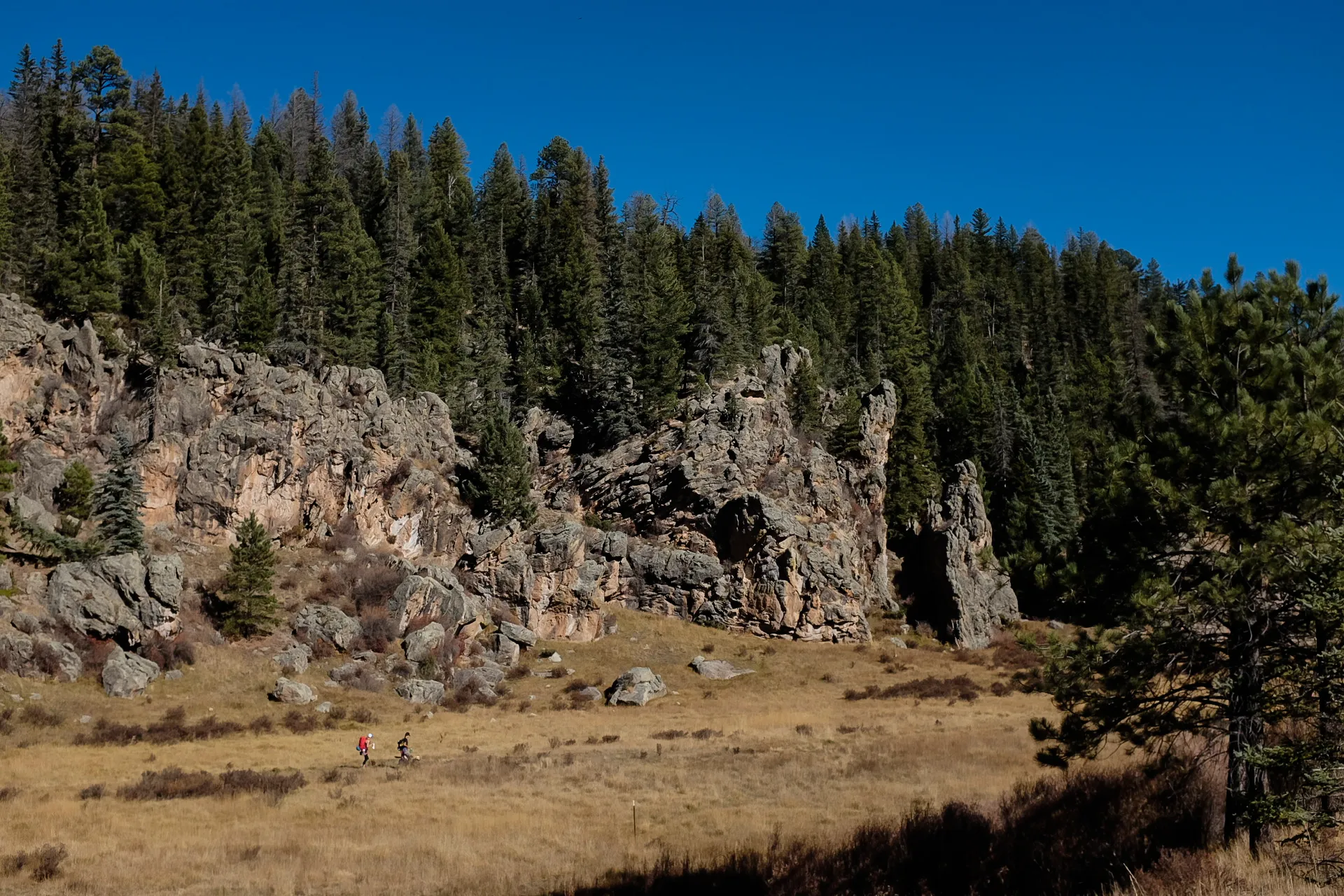 Las Conchas via East Fork Trail