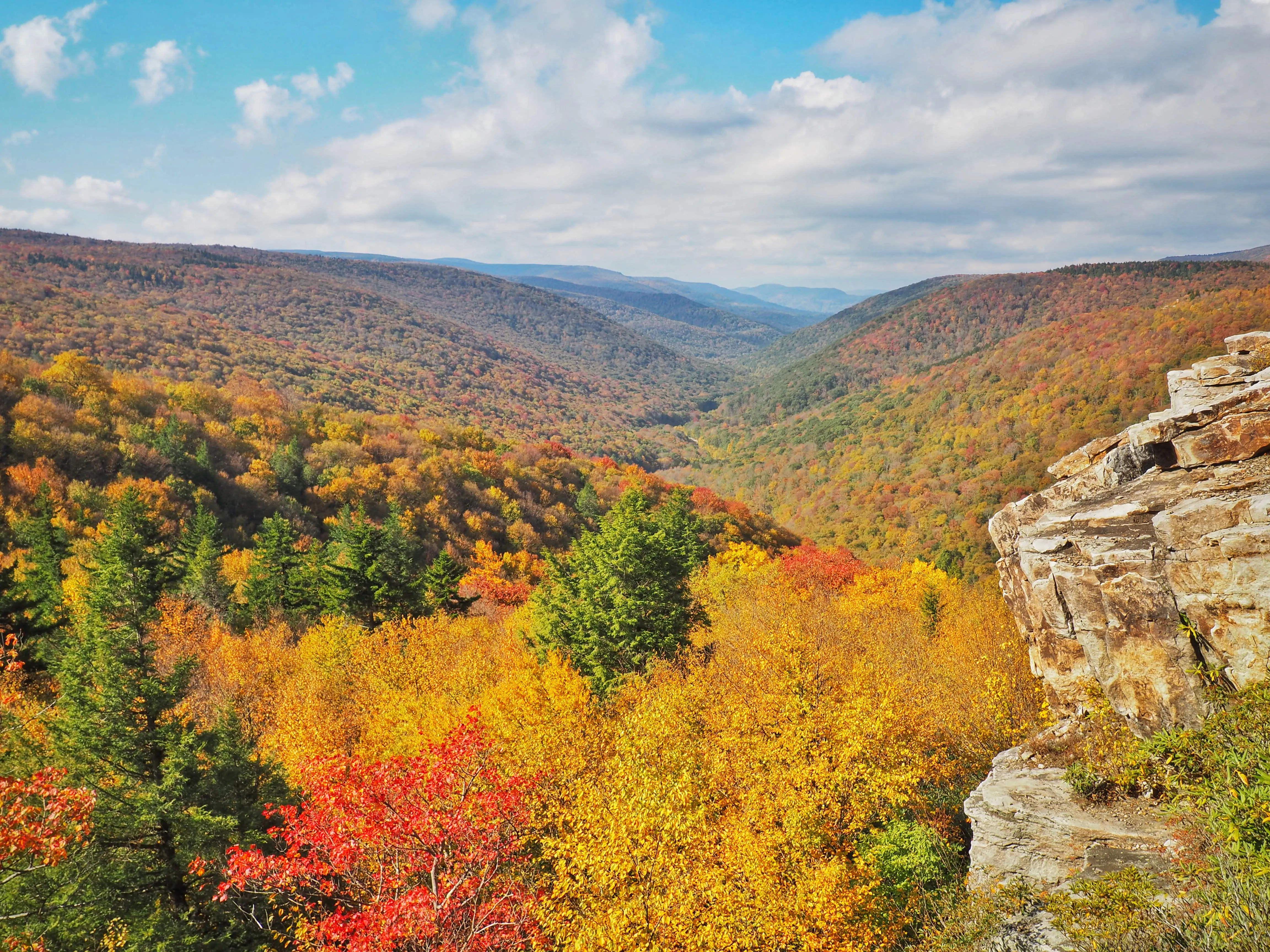 Hike to Rohrbaugh Cliffs in Dolly Sods